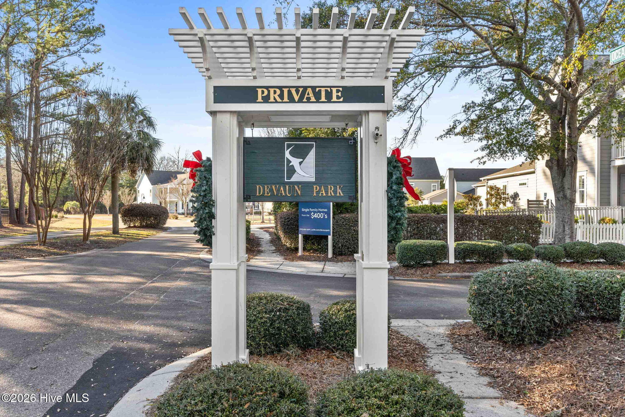 100546436 | Photo 77