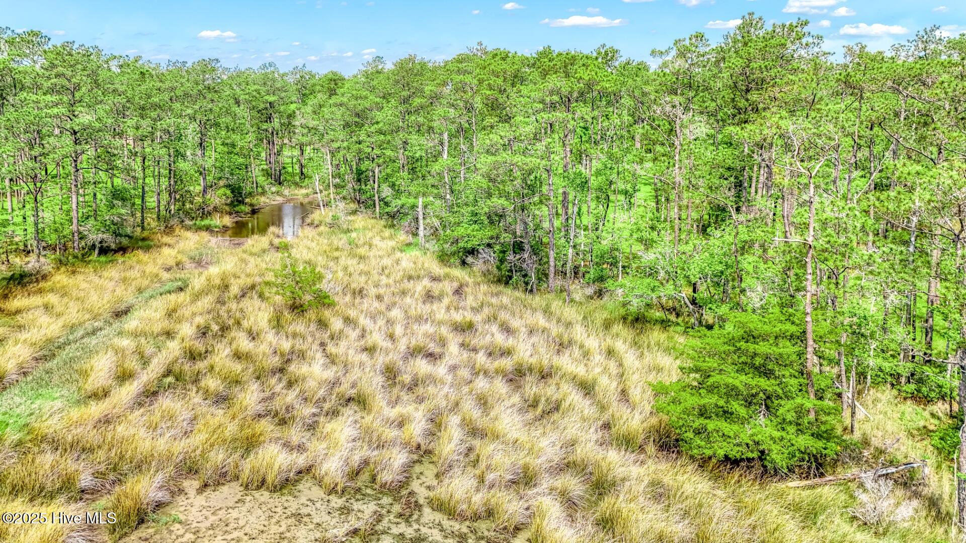 175 River Watch Road, Oriental, NC, 28571