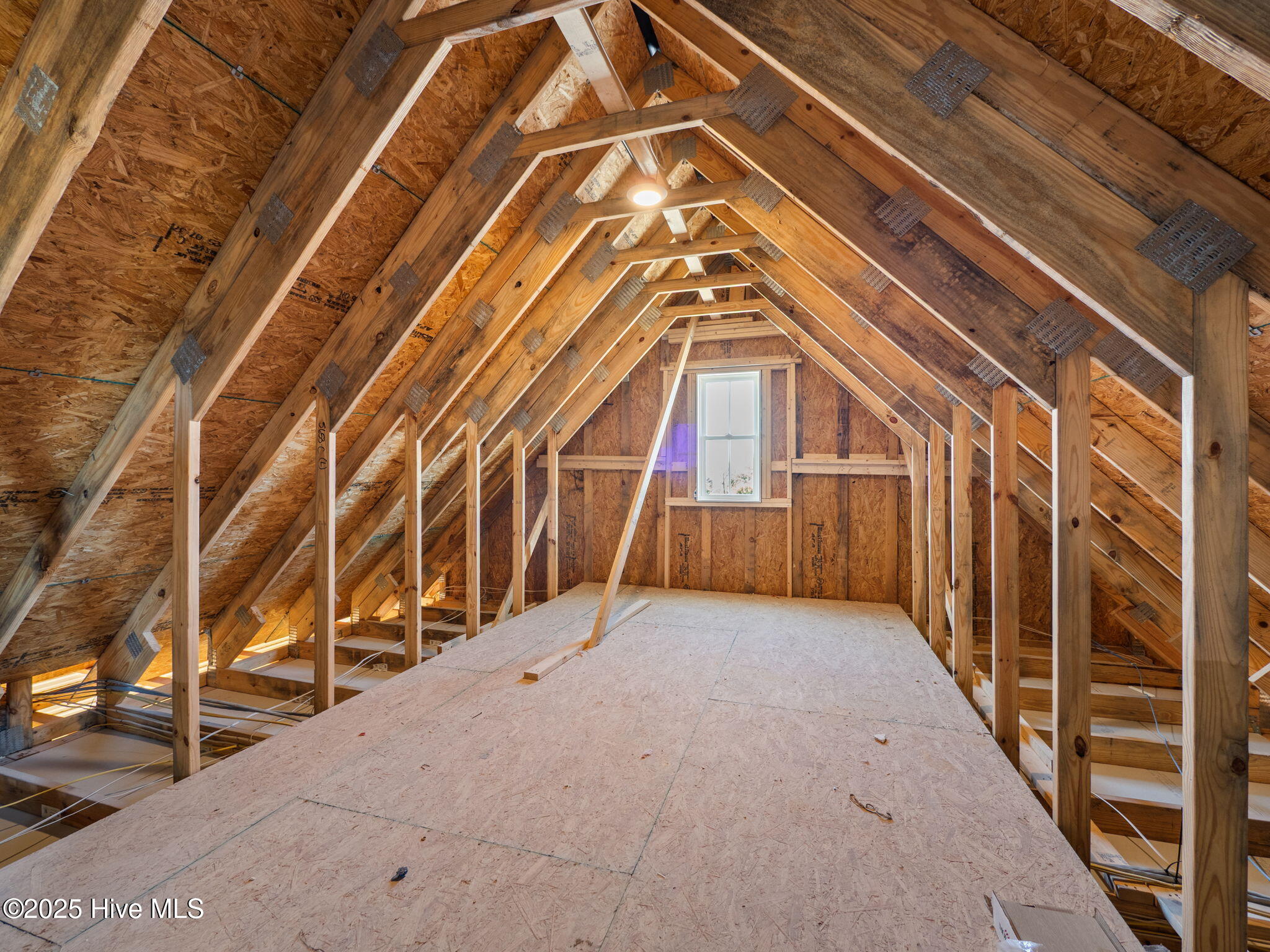 100520397 | Photo 35