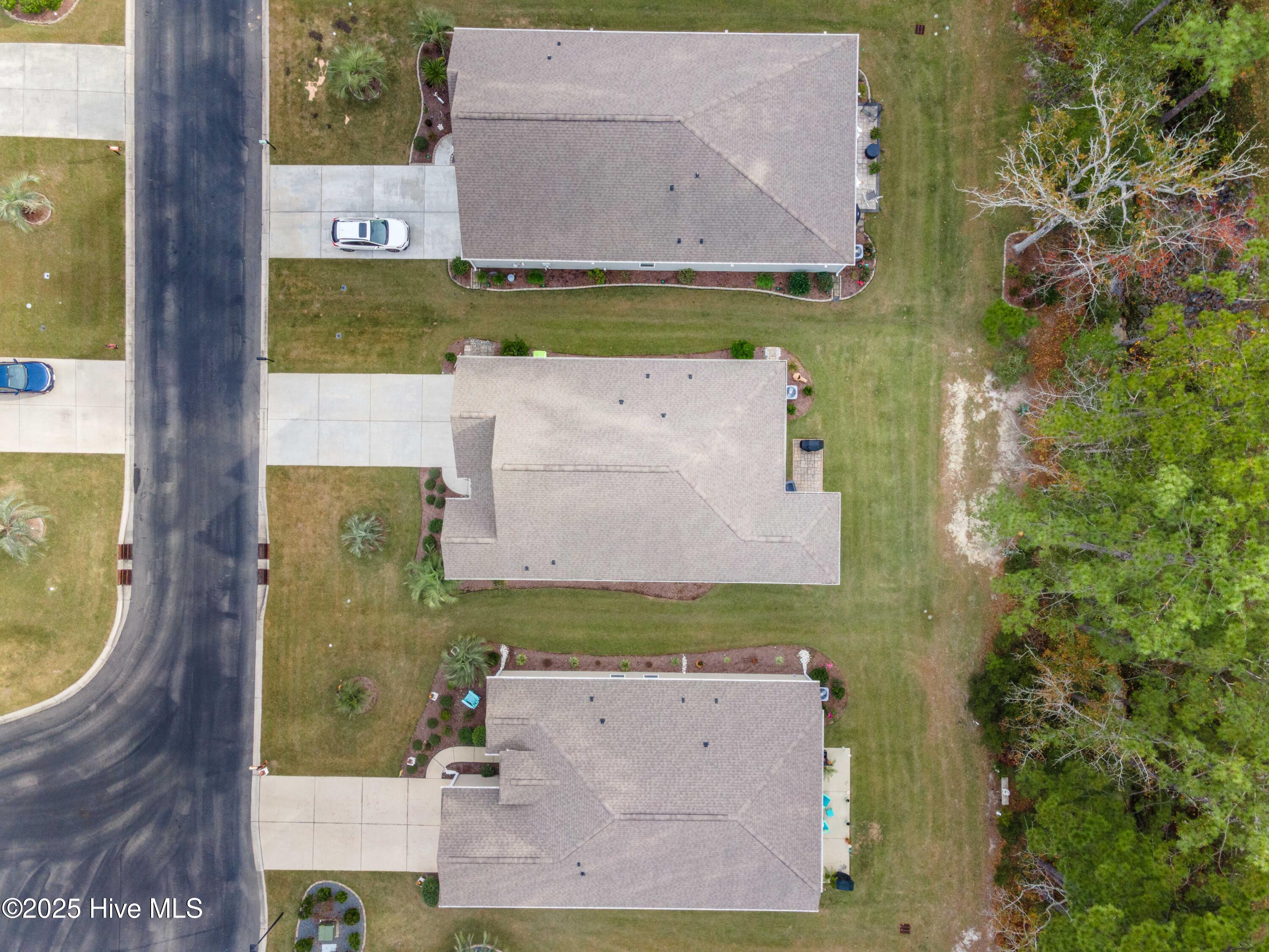 100541671 | Photo 62