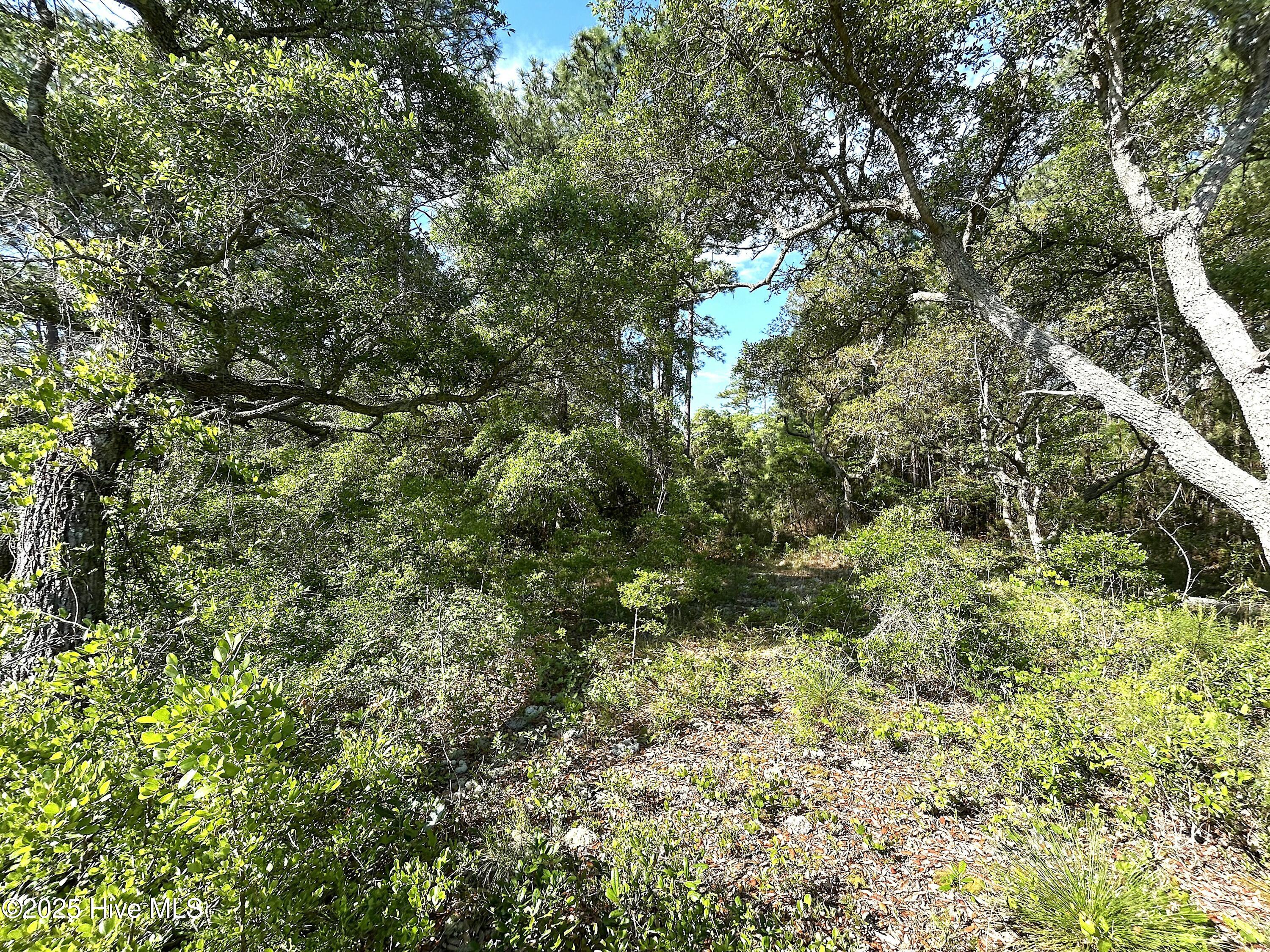 100503878 | Photo 10