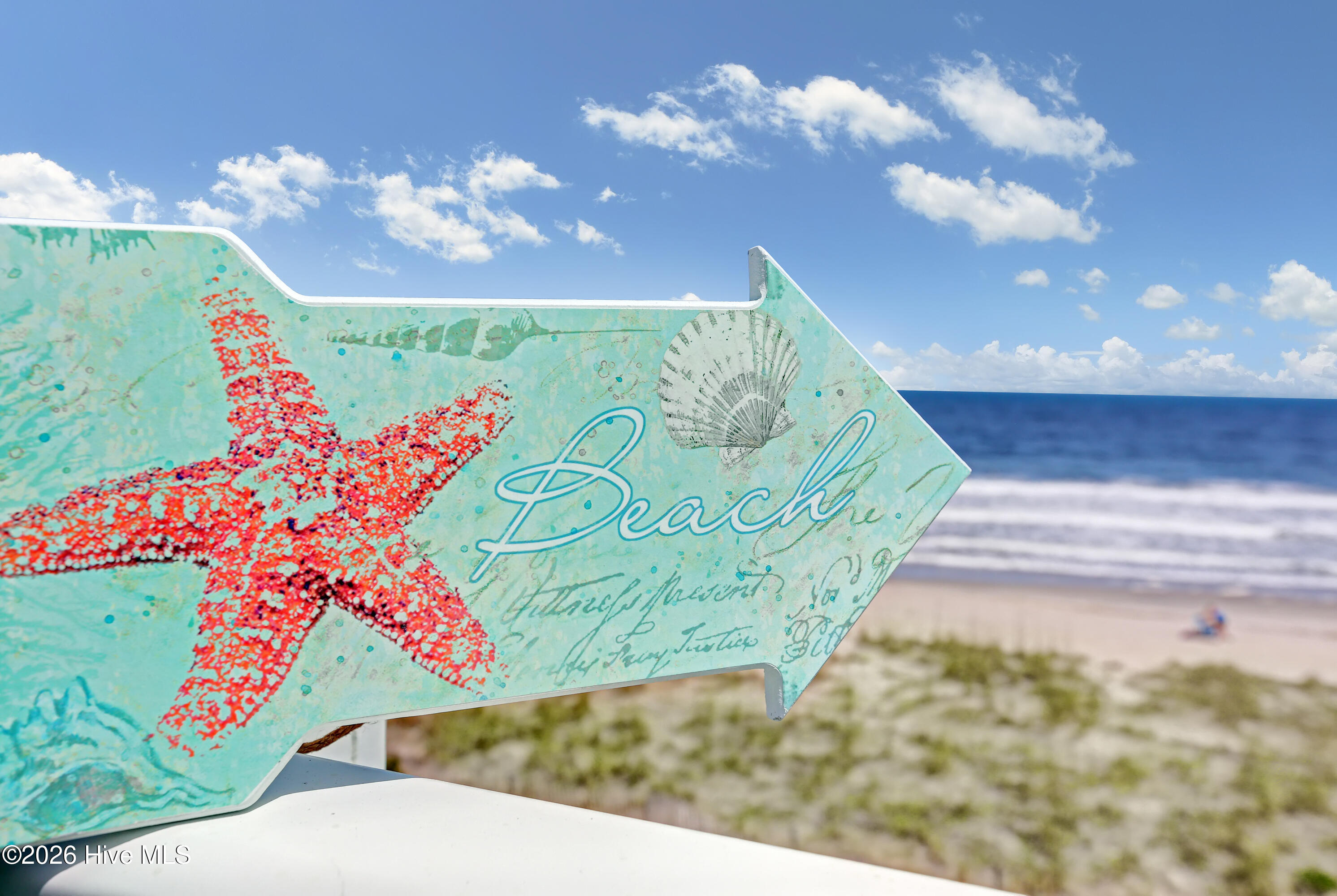 100565852 | Photo 24