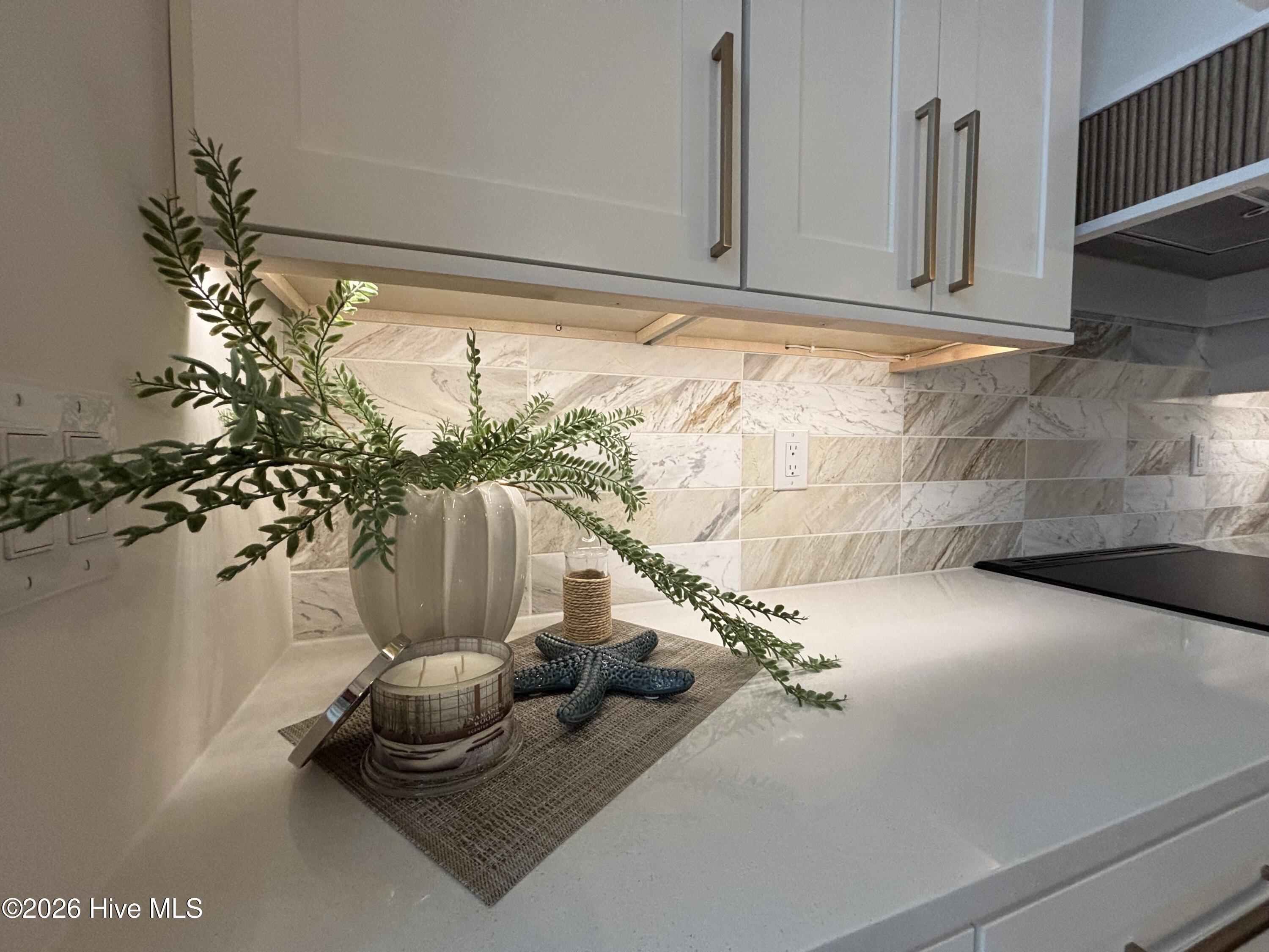 100516902 | Photo 23