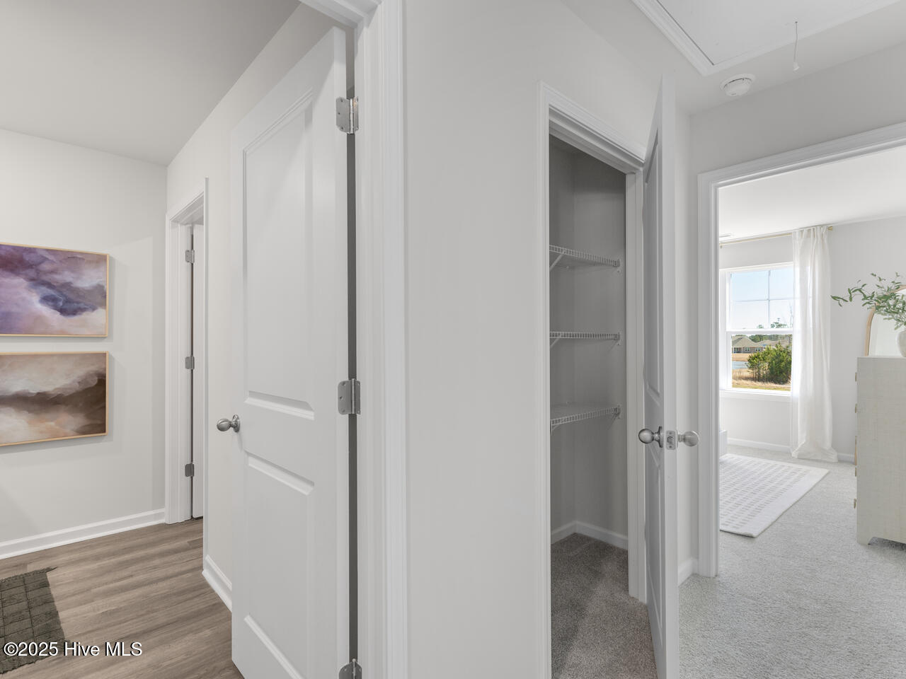 100539719 | Photo 51