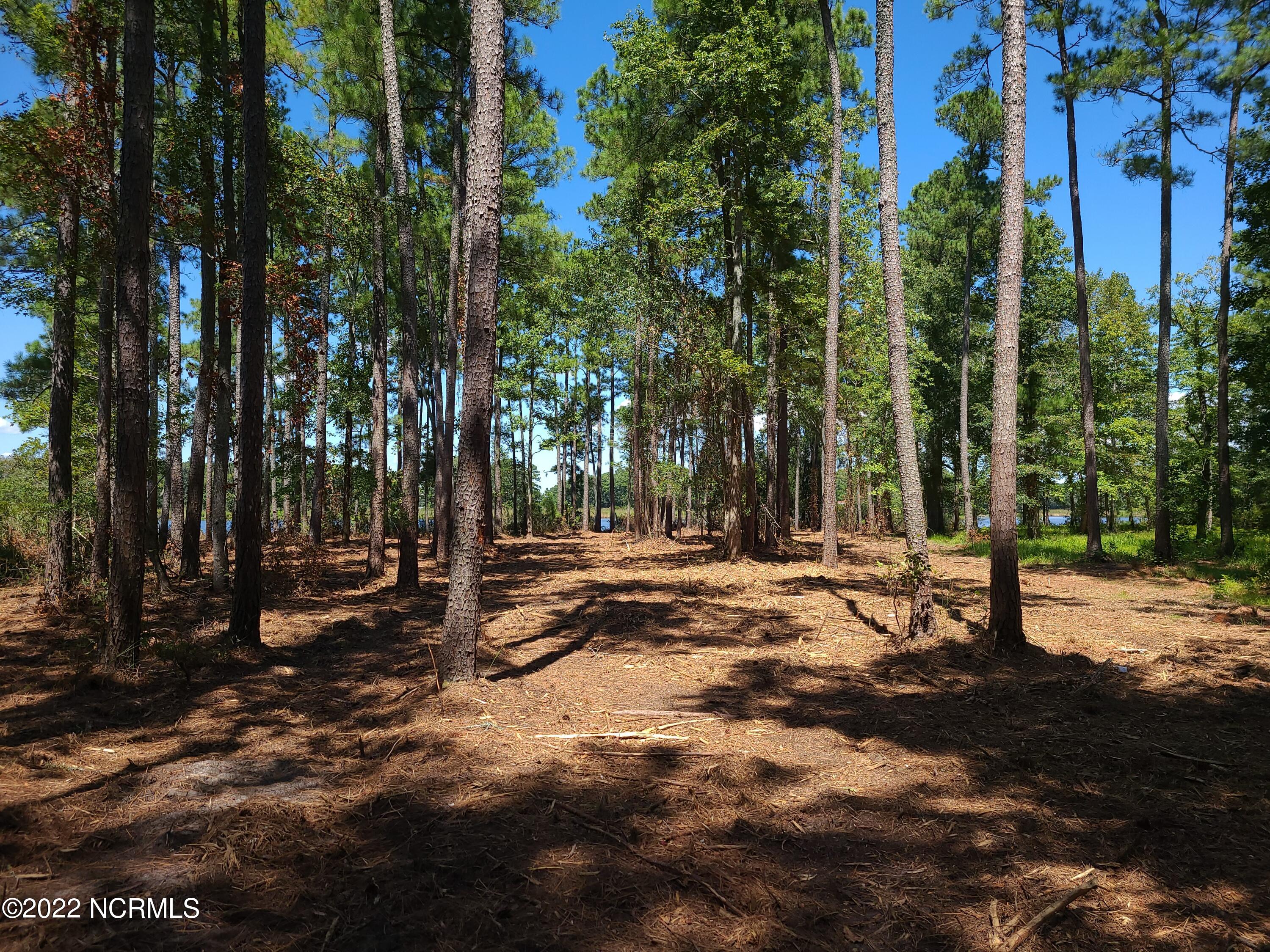 6 Ashton Drive, Bath, NC, 27808