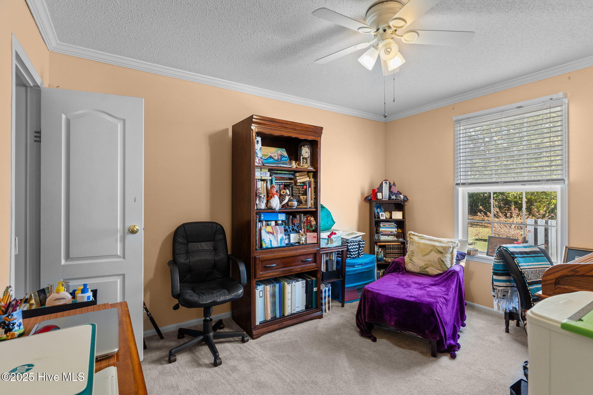 100535102 | Photo 28