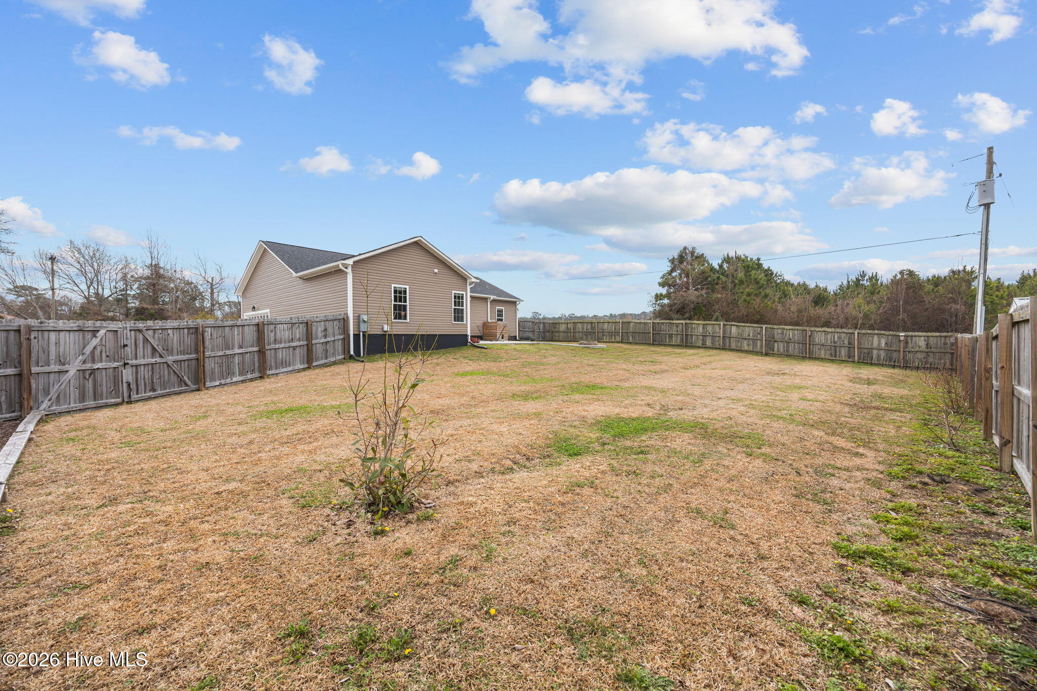 100557380 | Photo 50