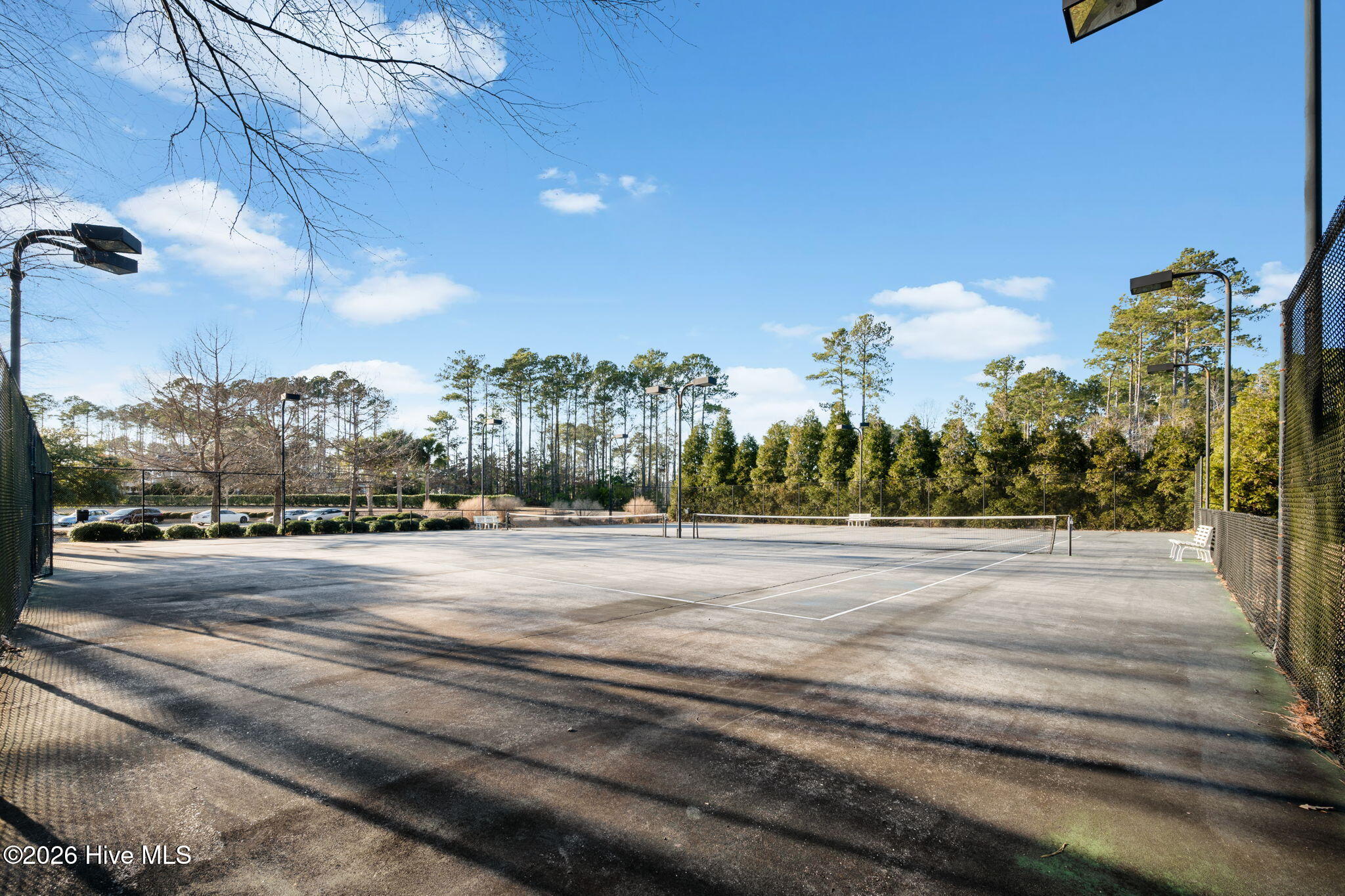 100549288 | Photo 38