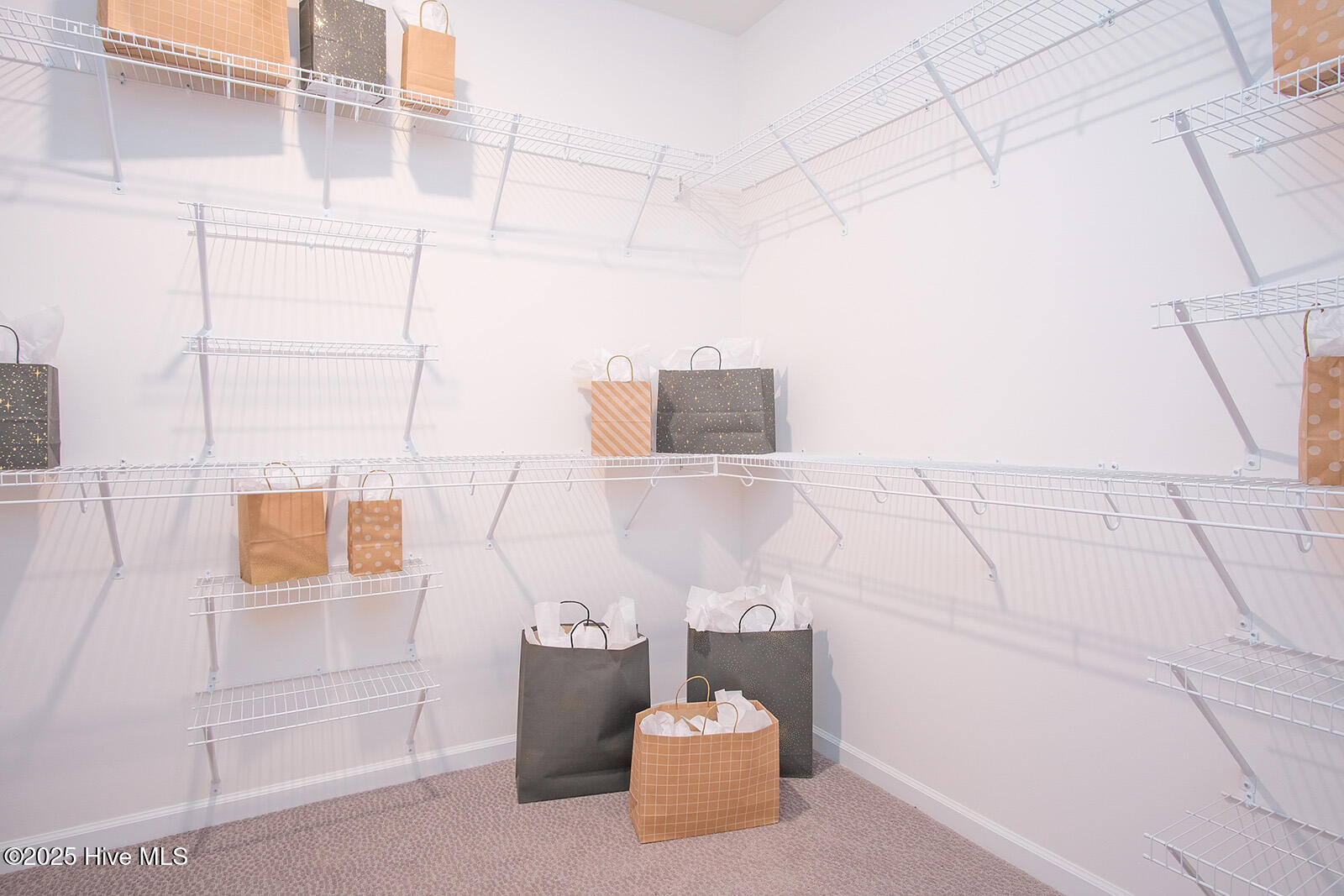 100548089 | Photo 22