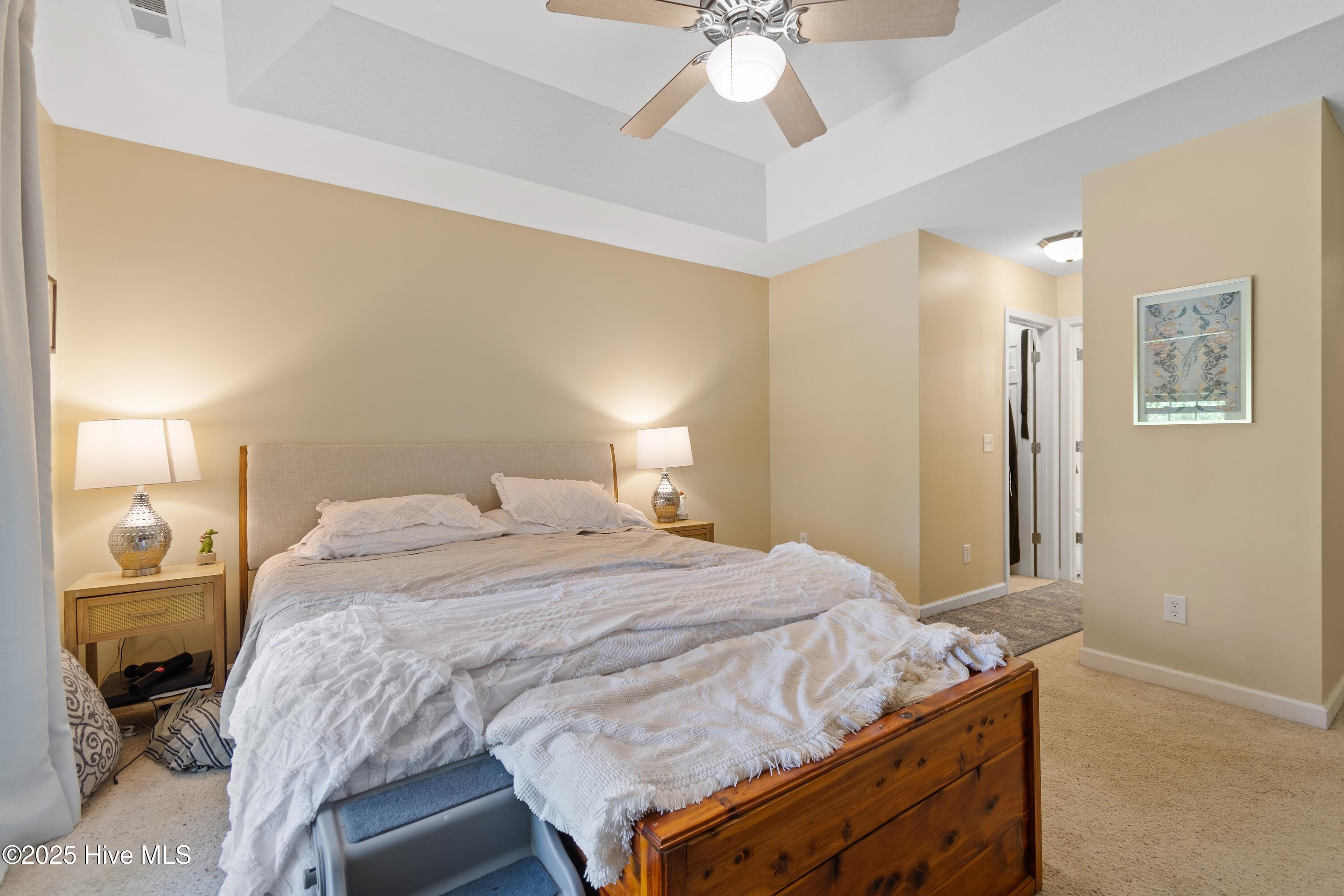 100517176 | Photo 18