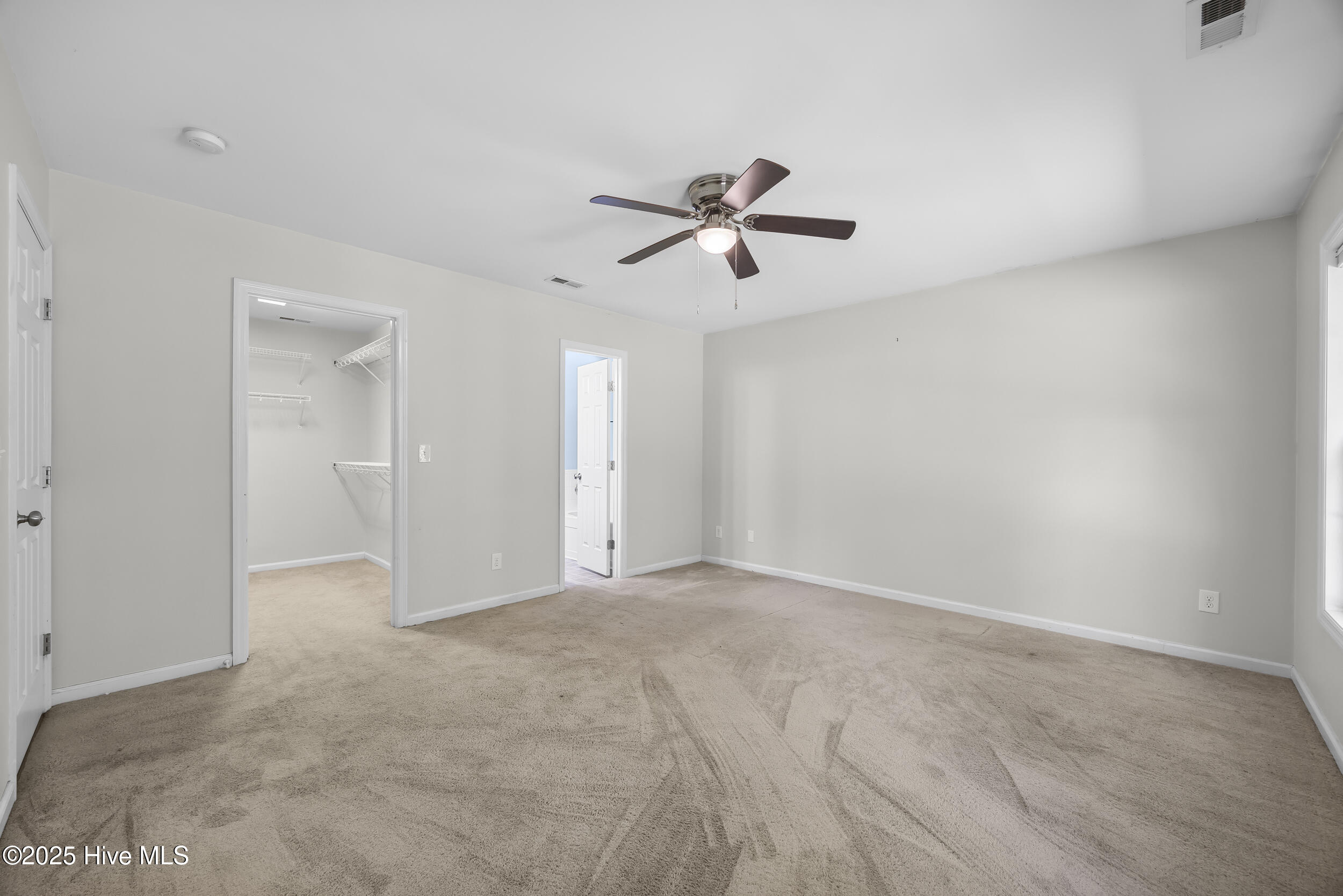 100533405 | Photo 30