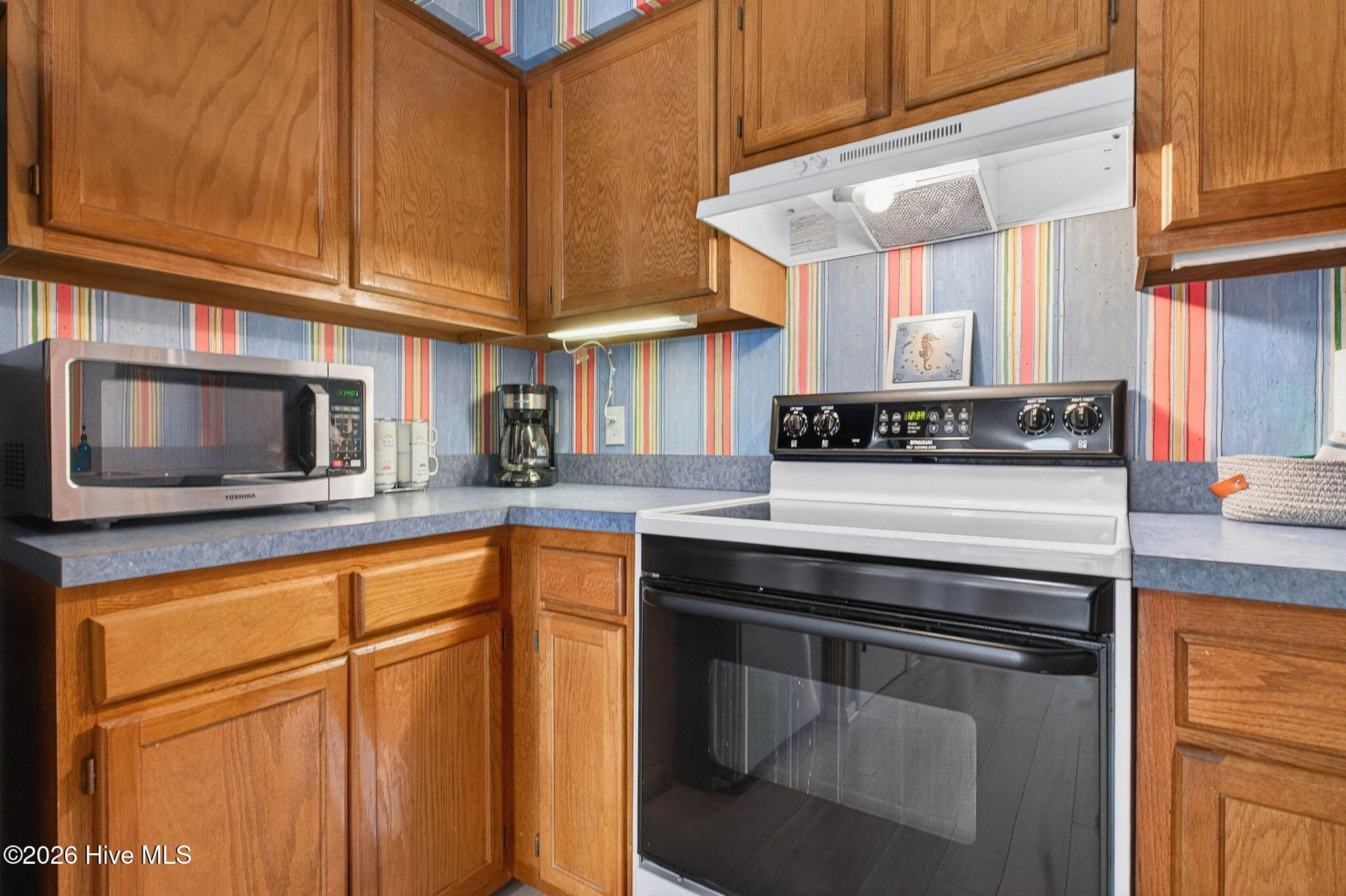 100568537 | Photo 12