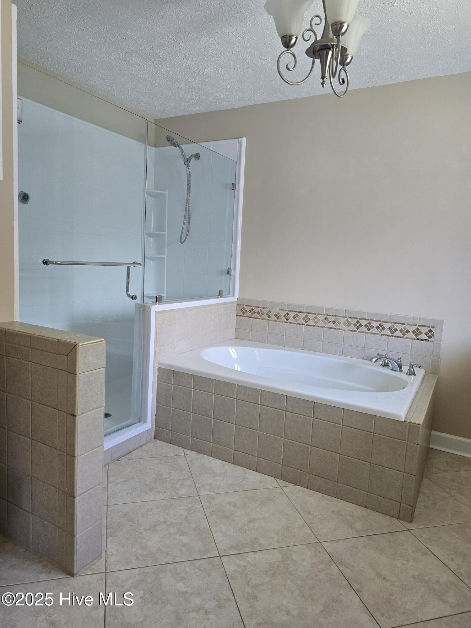 100527387 | Photo 18