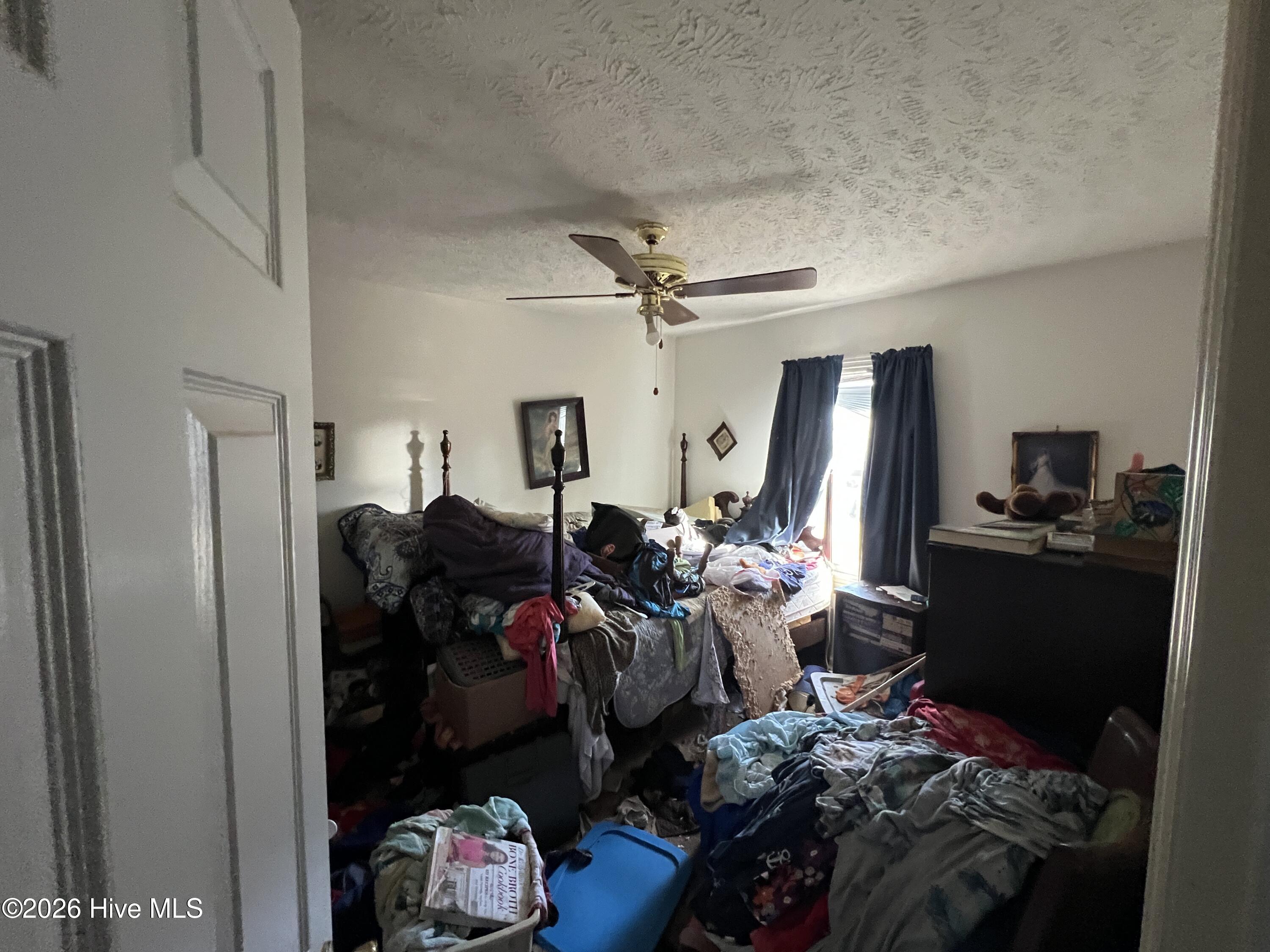 100555169 | Photo 11