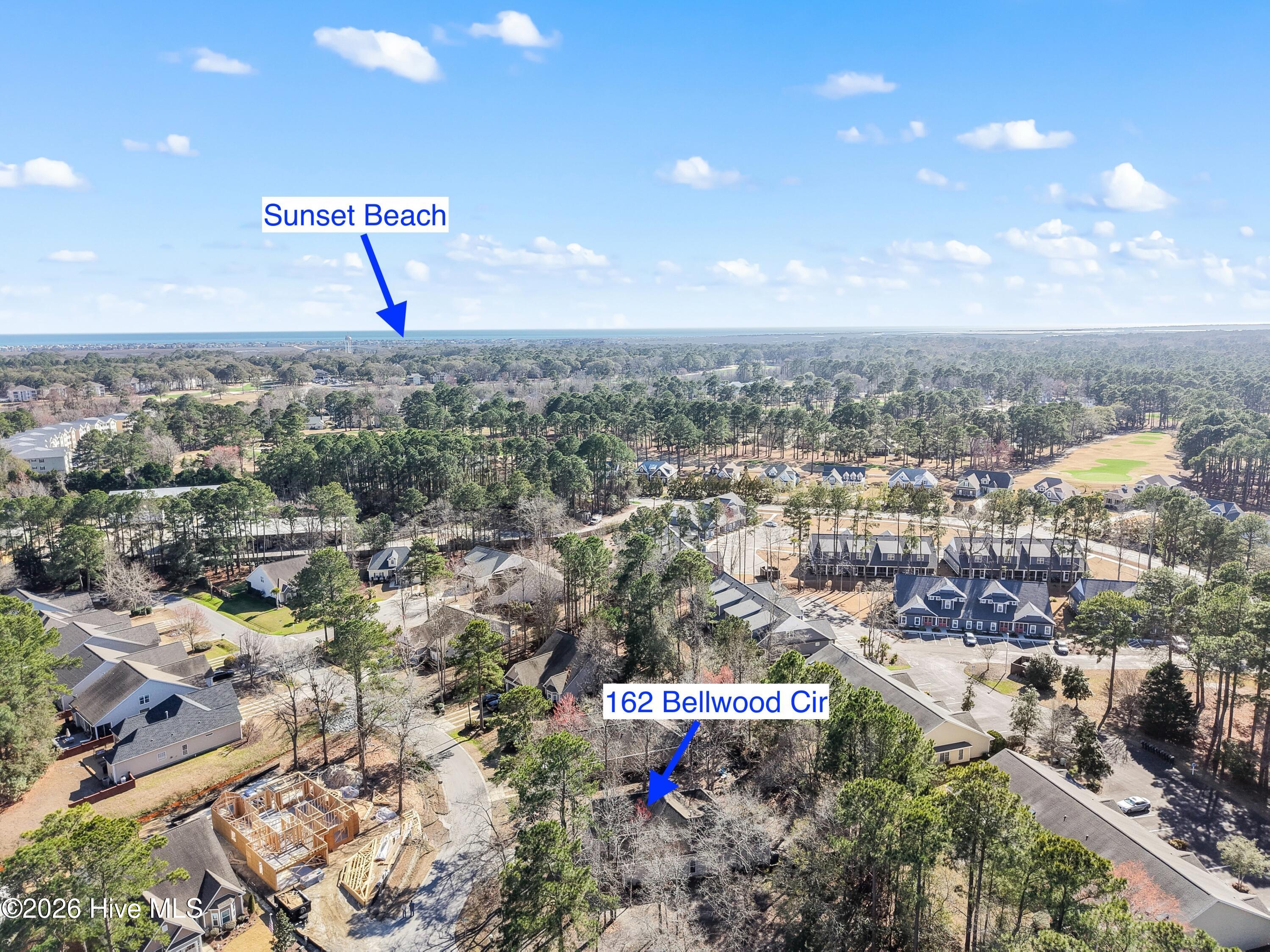 100540219 | Photo 35