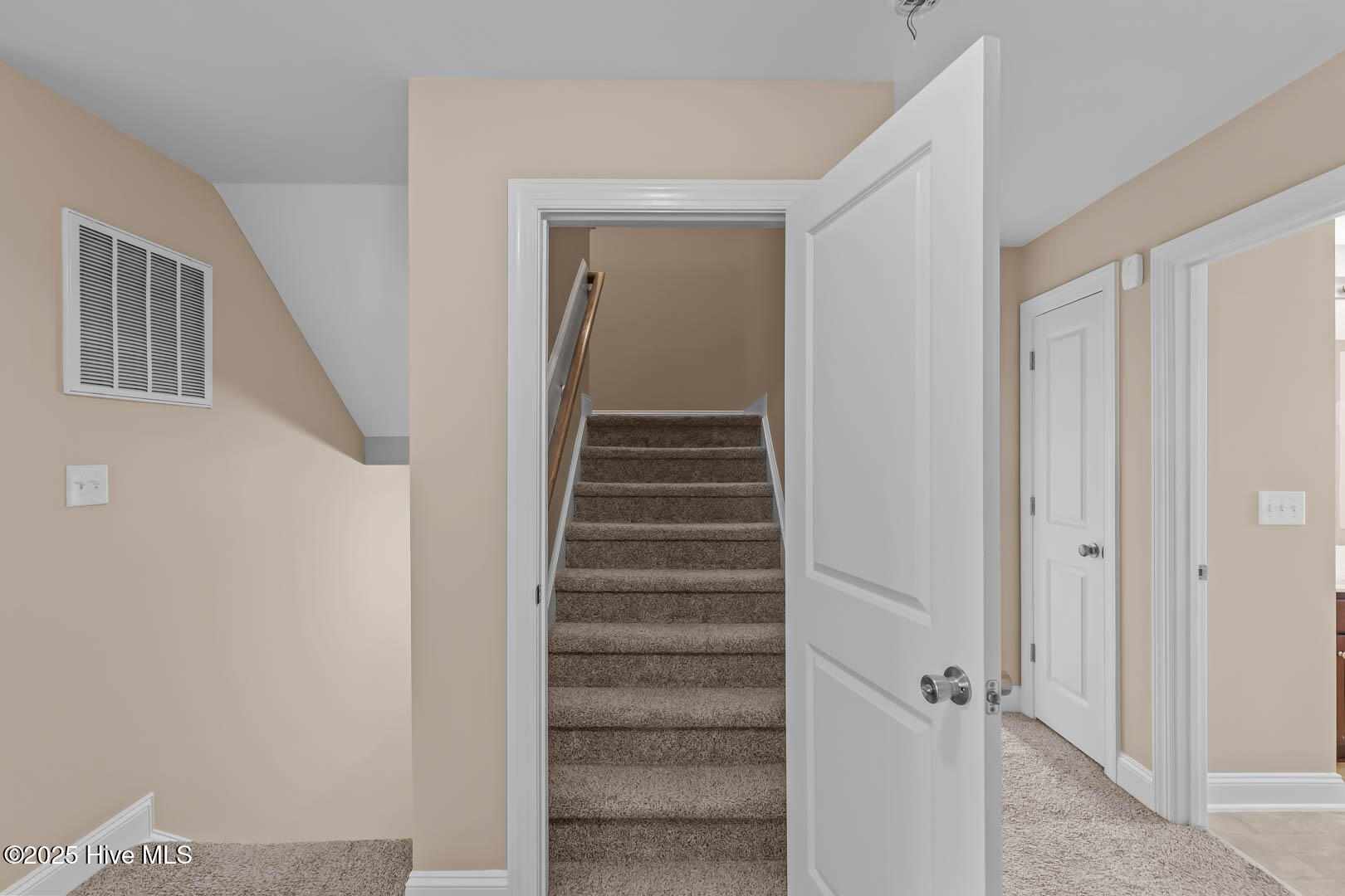 100532827 | Photo 52