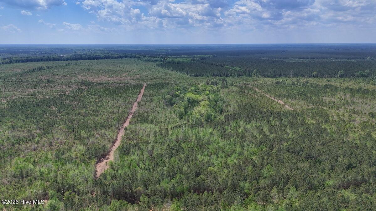 0 Guinea Mill Road, Ernul, NC, 28527