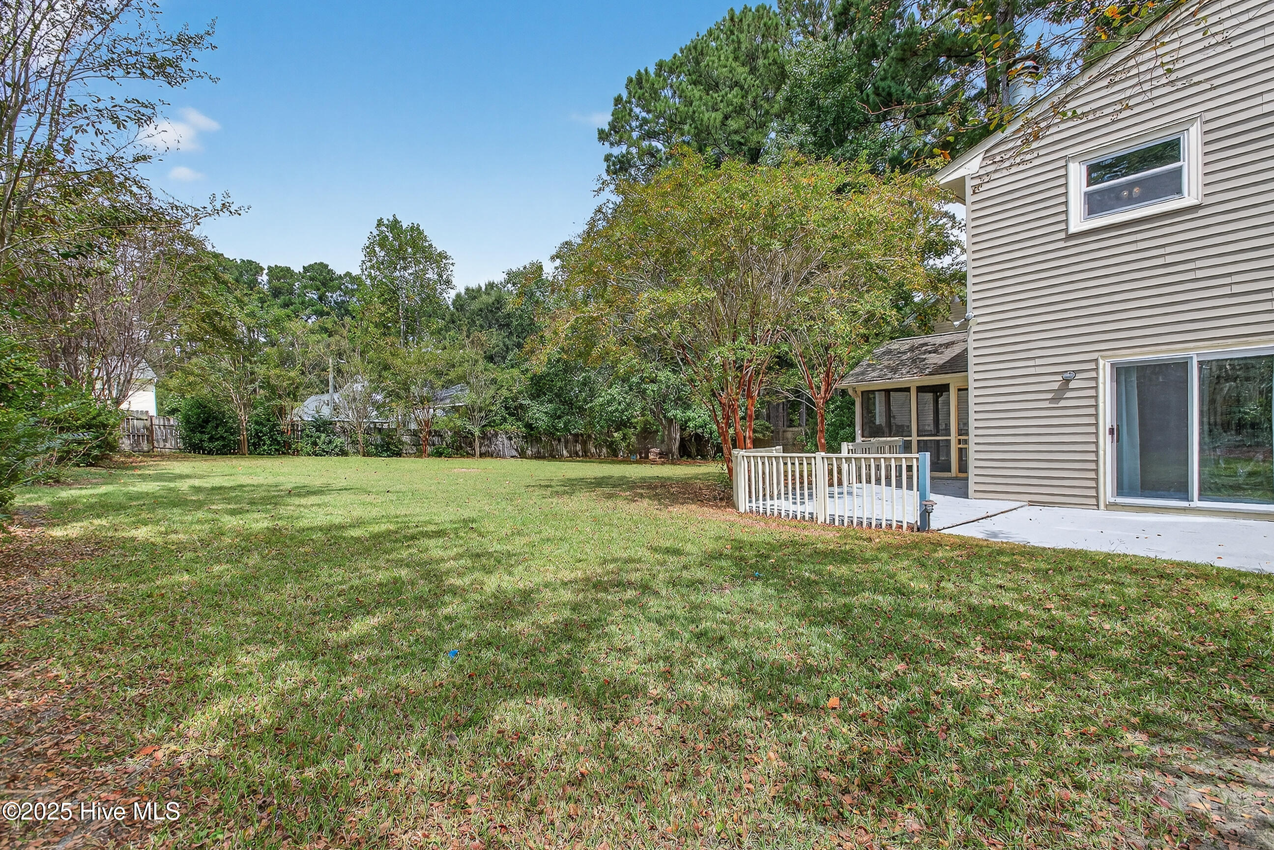 100531663 | Photo 35