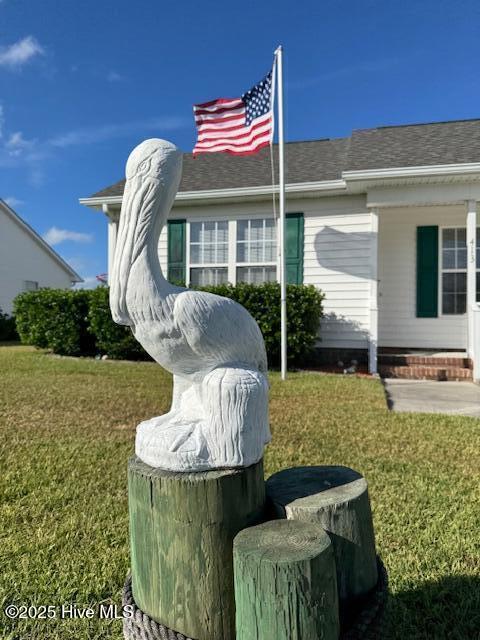 Pelican keeps watch.