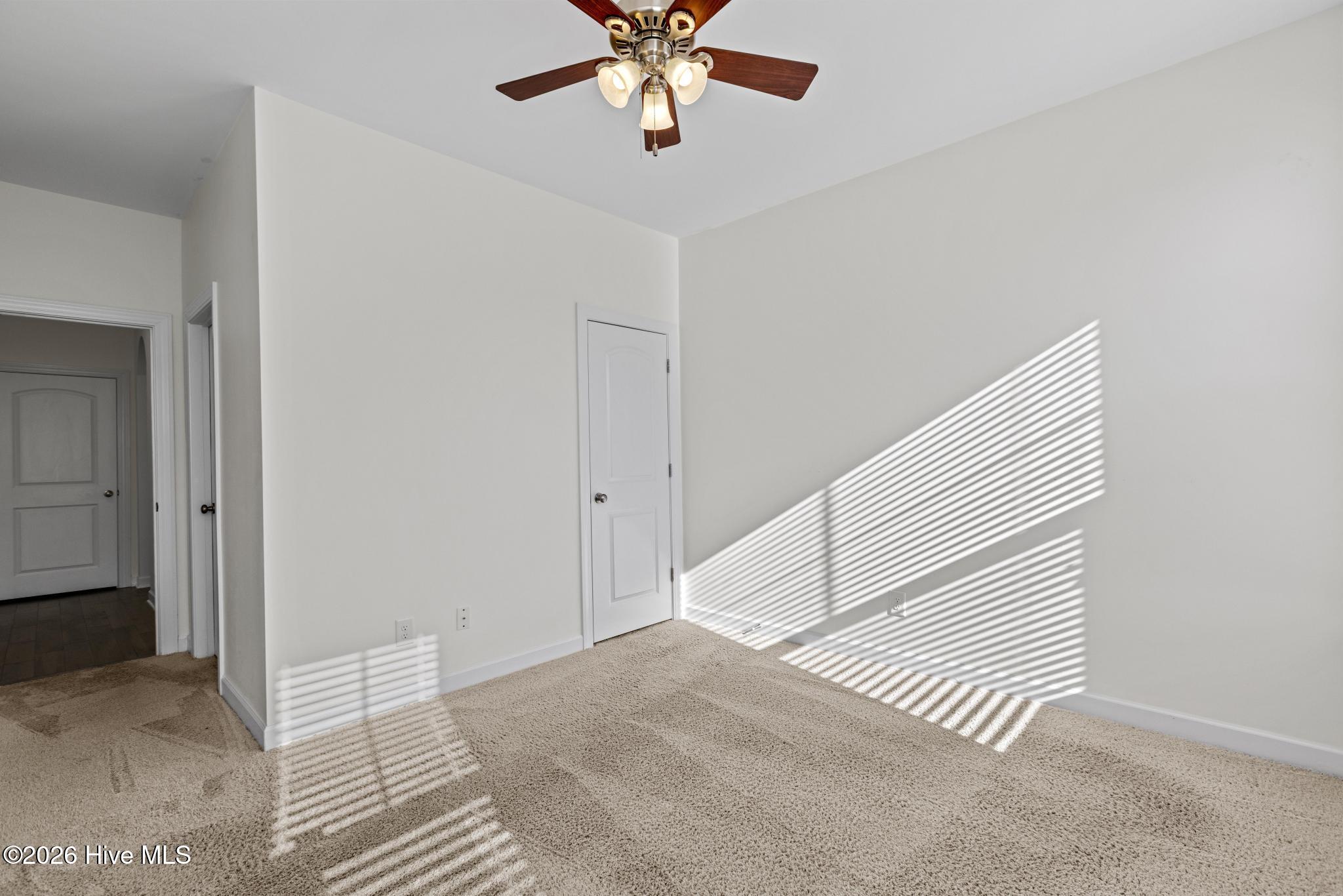 100554493 | Photo 23