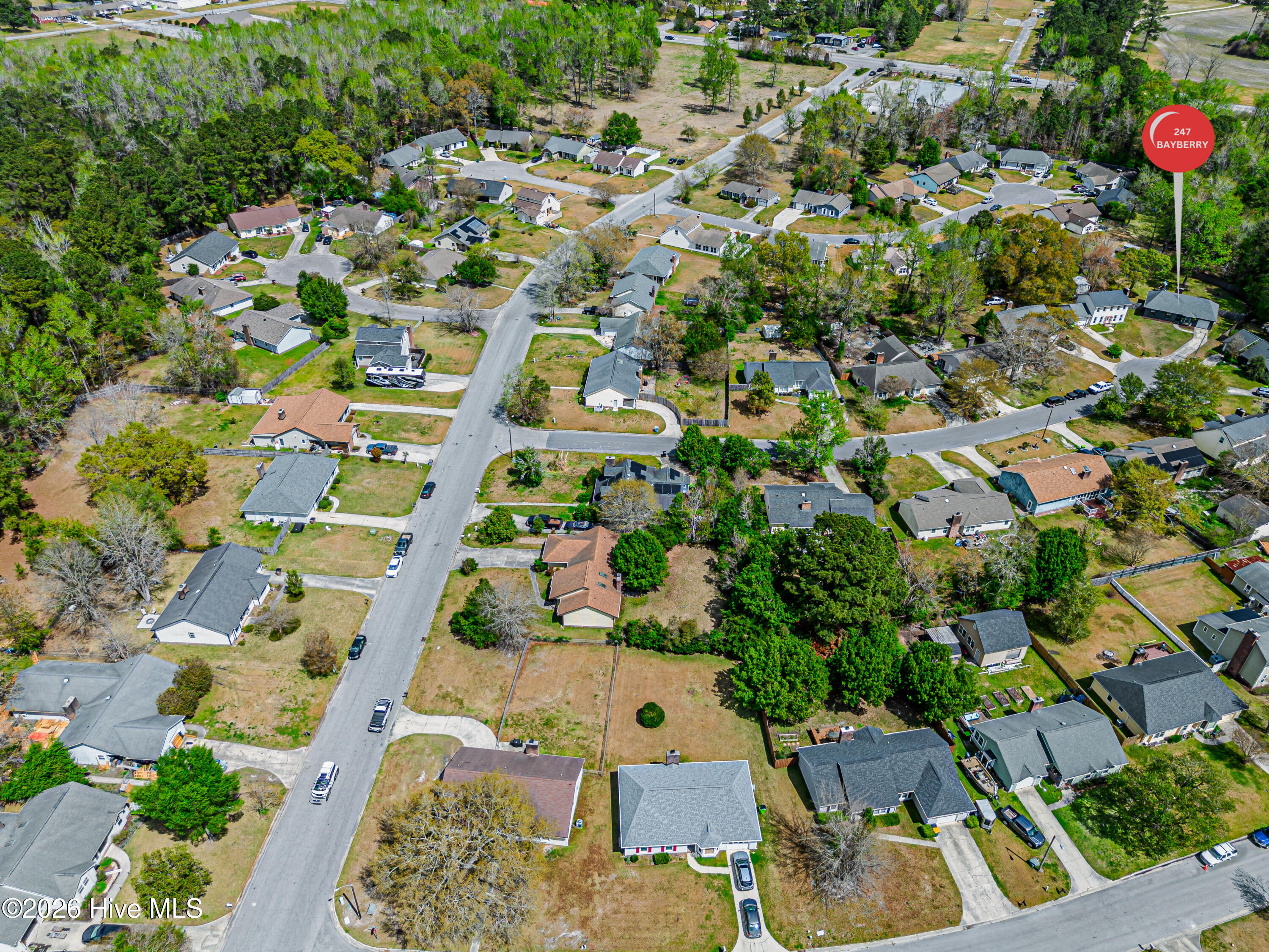 100569074 | Photo 72