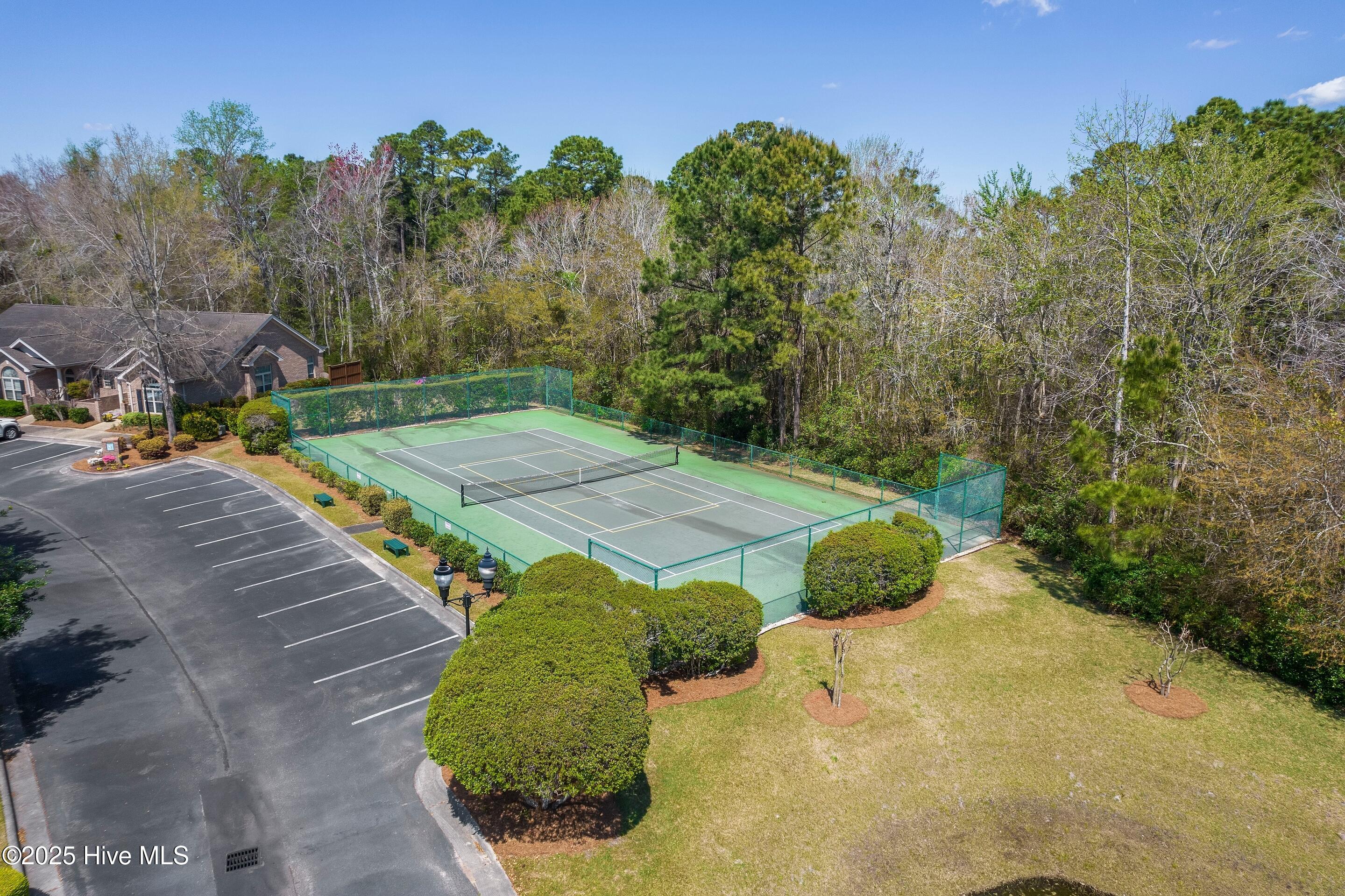 100534079 | Photo 39