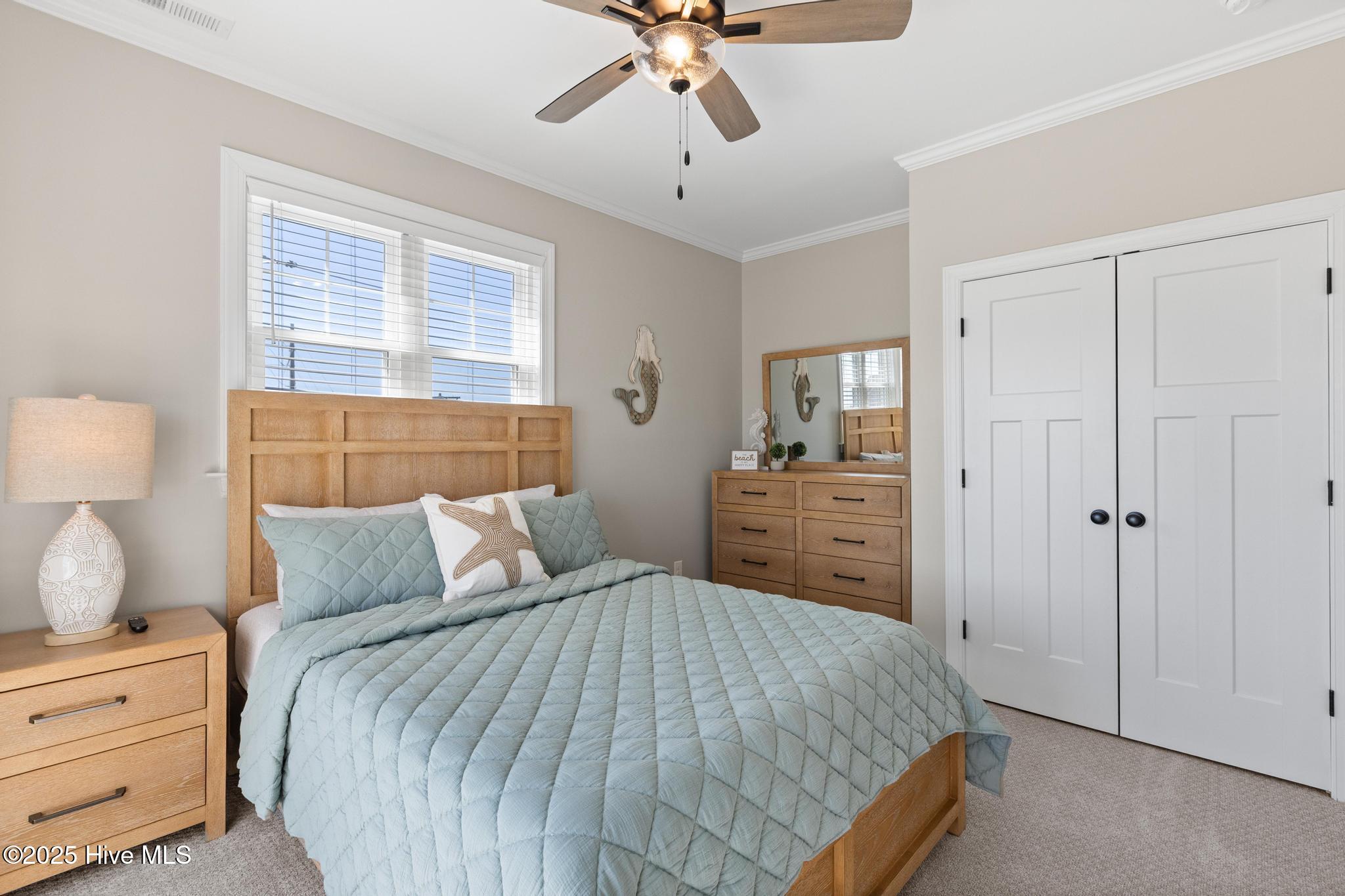 100498543 | Photo 42