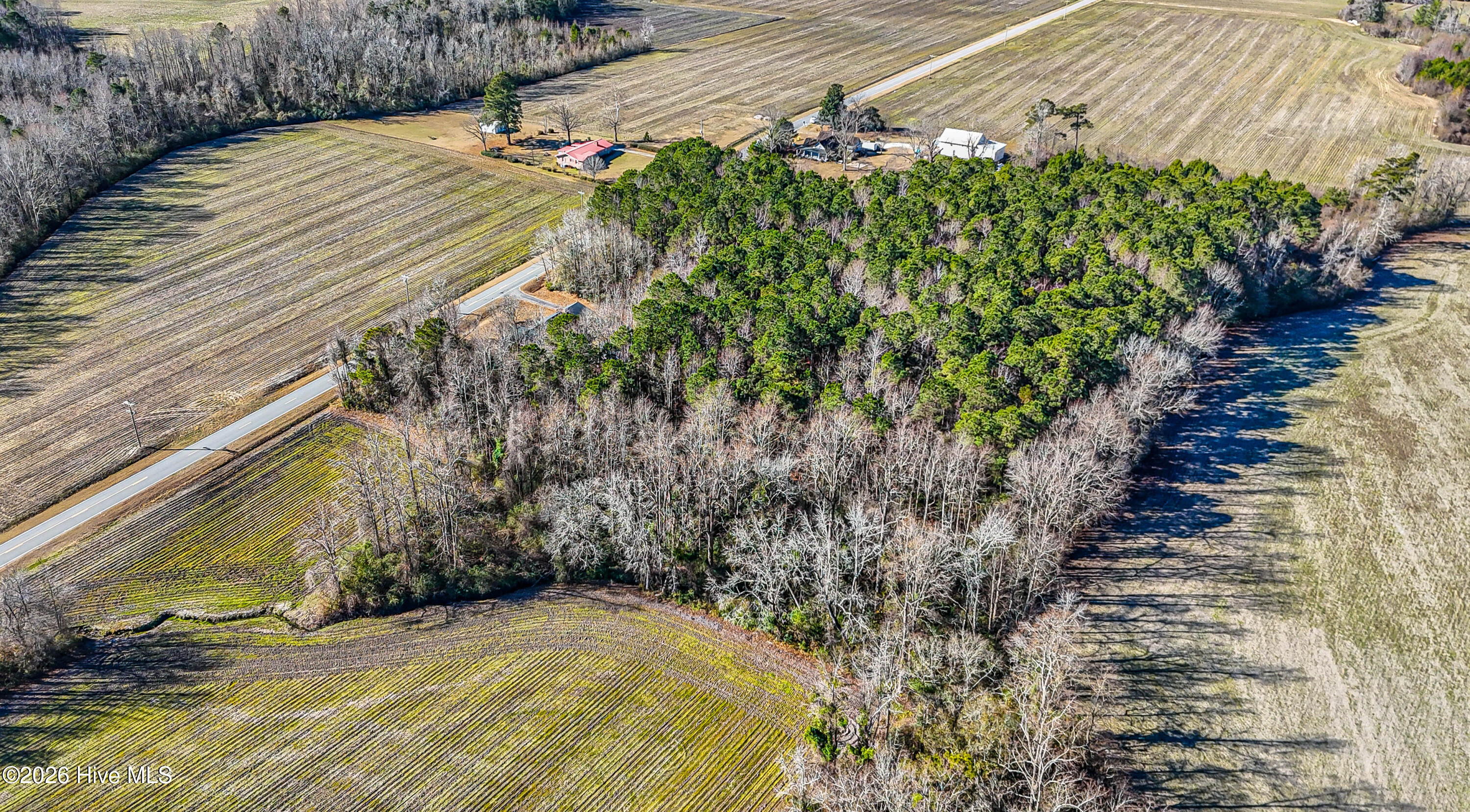 100549840 | Photo 40