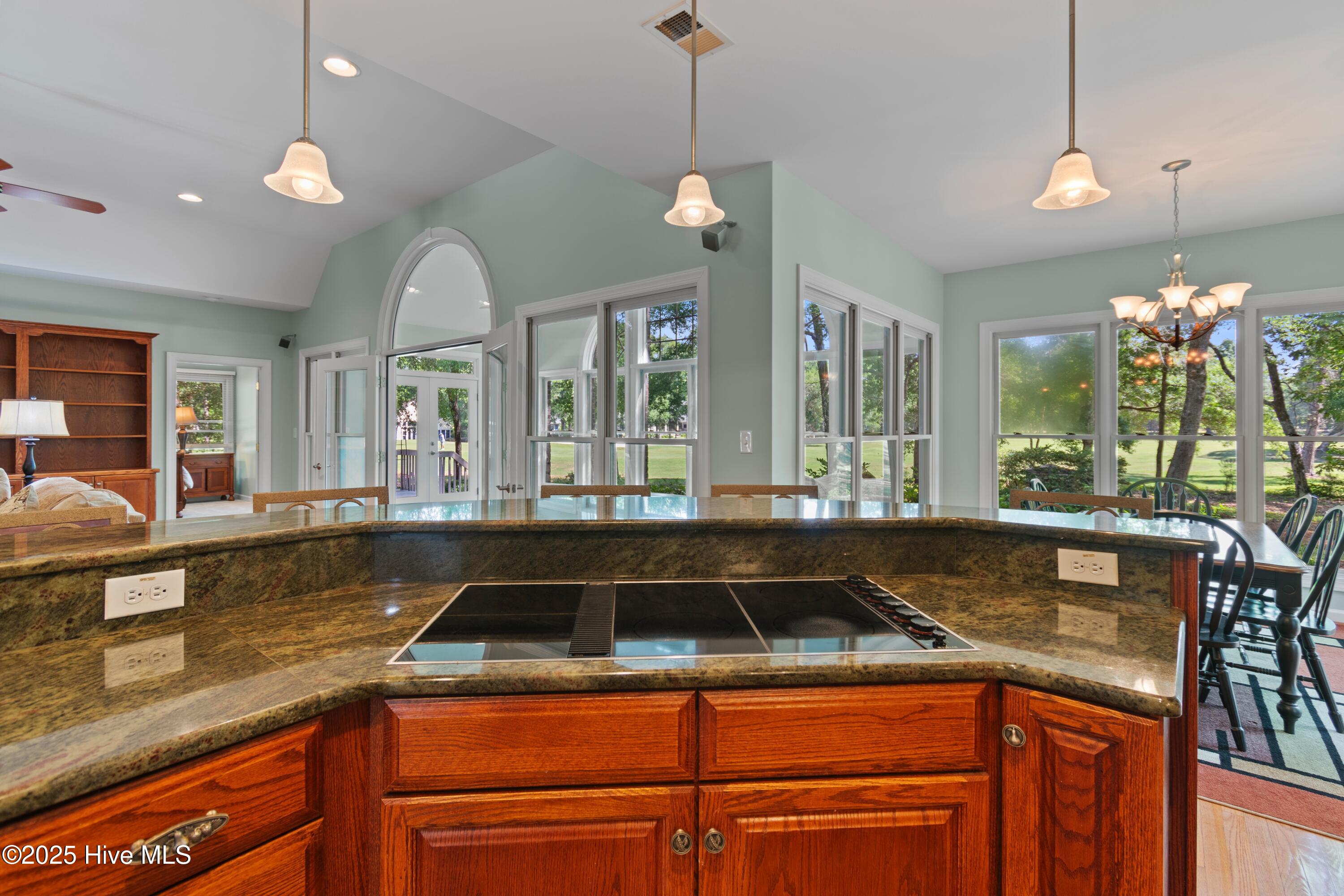 100509392 | Photo 19