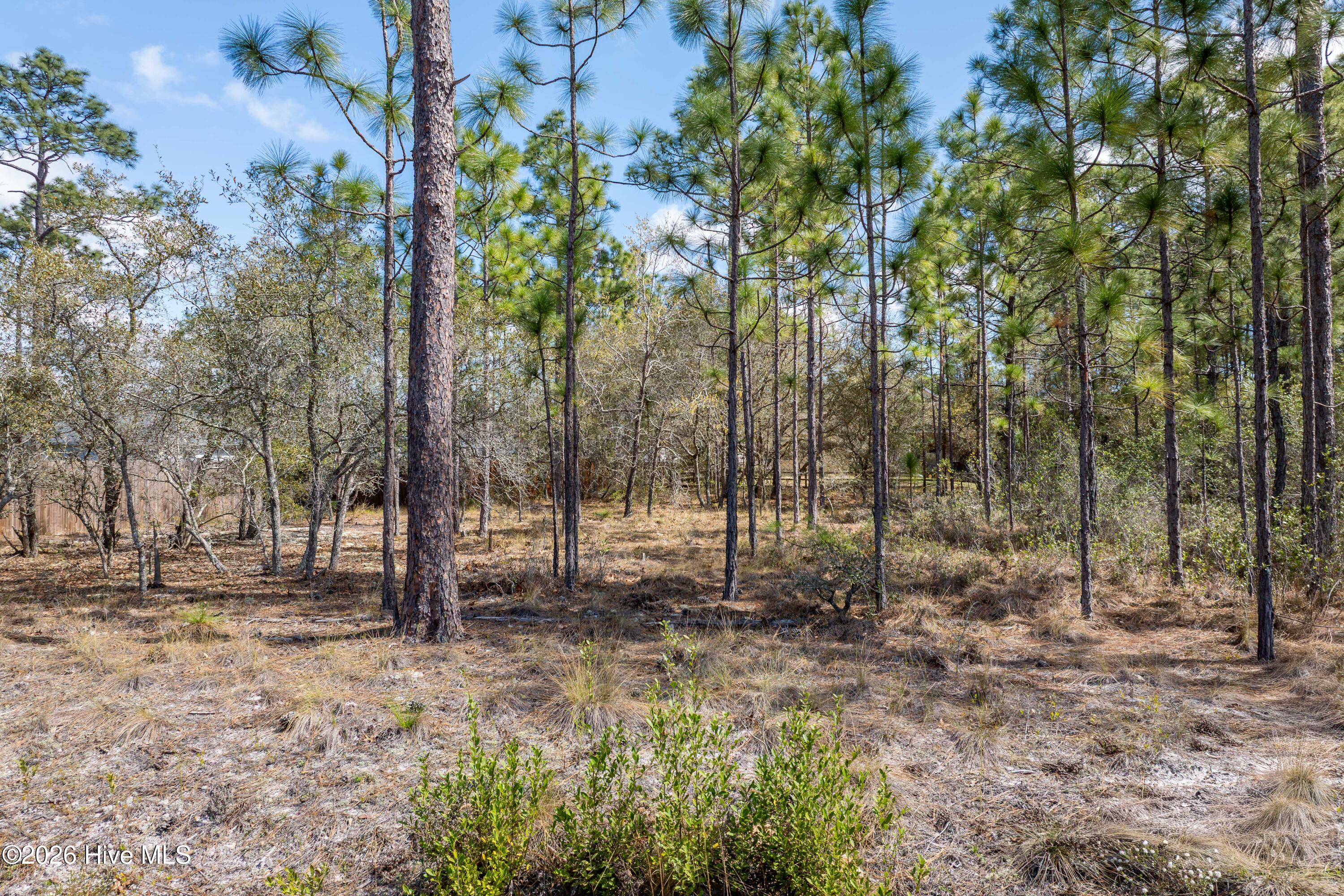 100563736 | Photo 15