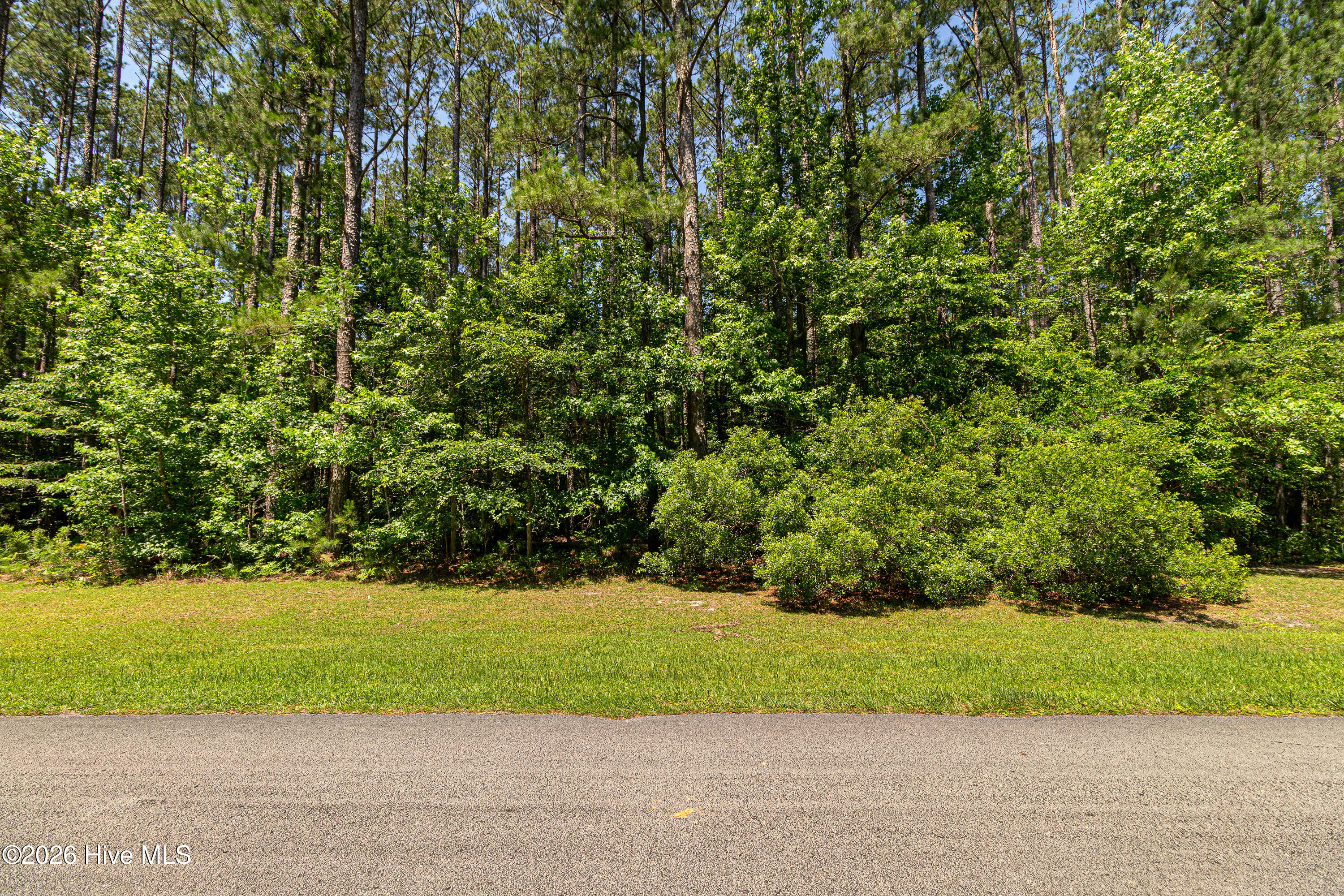 313 Antebellum Drive,Havelock