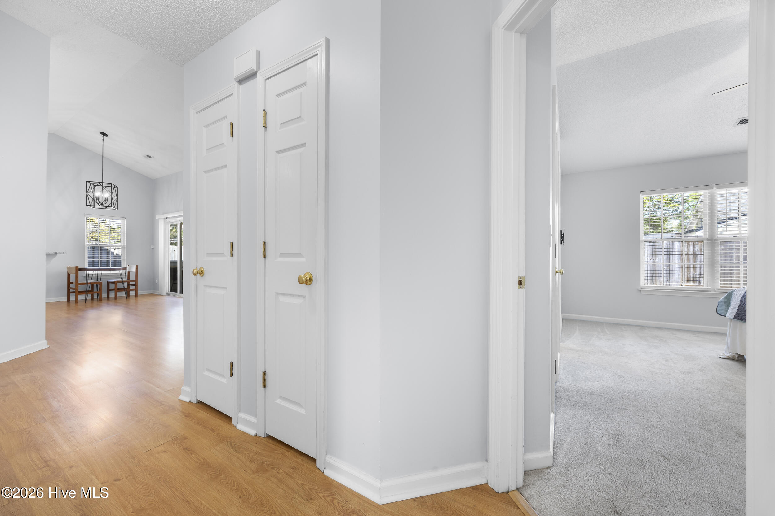 100565263 | Photo 20