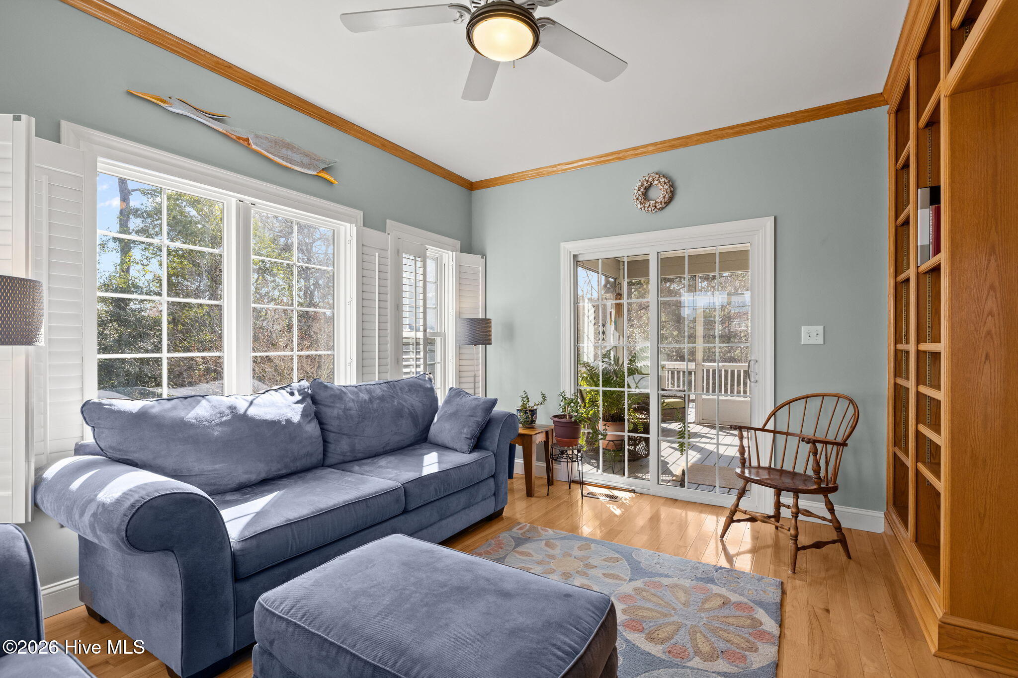 100556674 | Photo 15