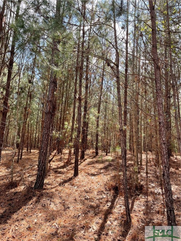 0 FISH Road, Newington, GA, 30446