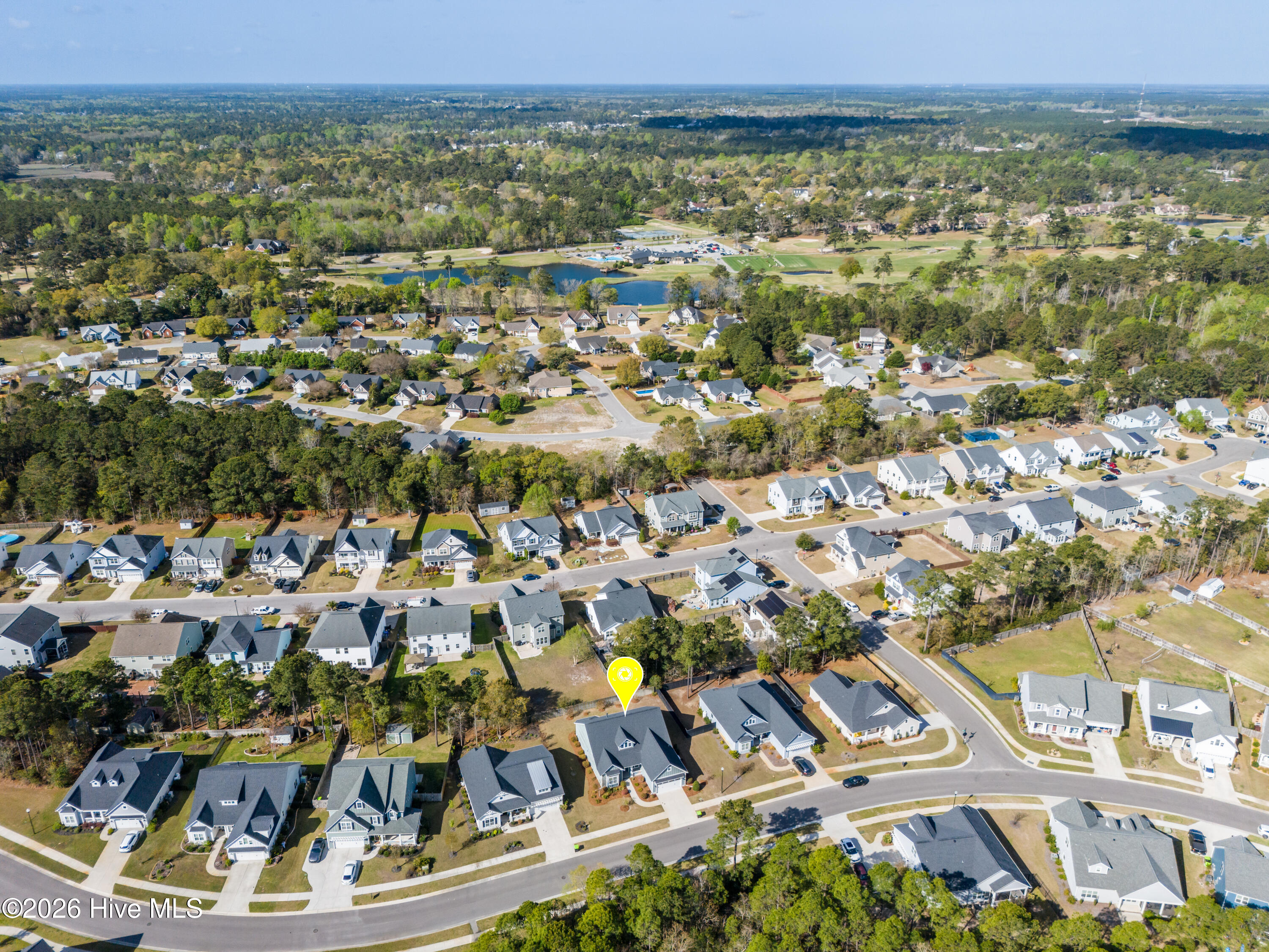 100564151 | Photo 40