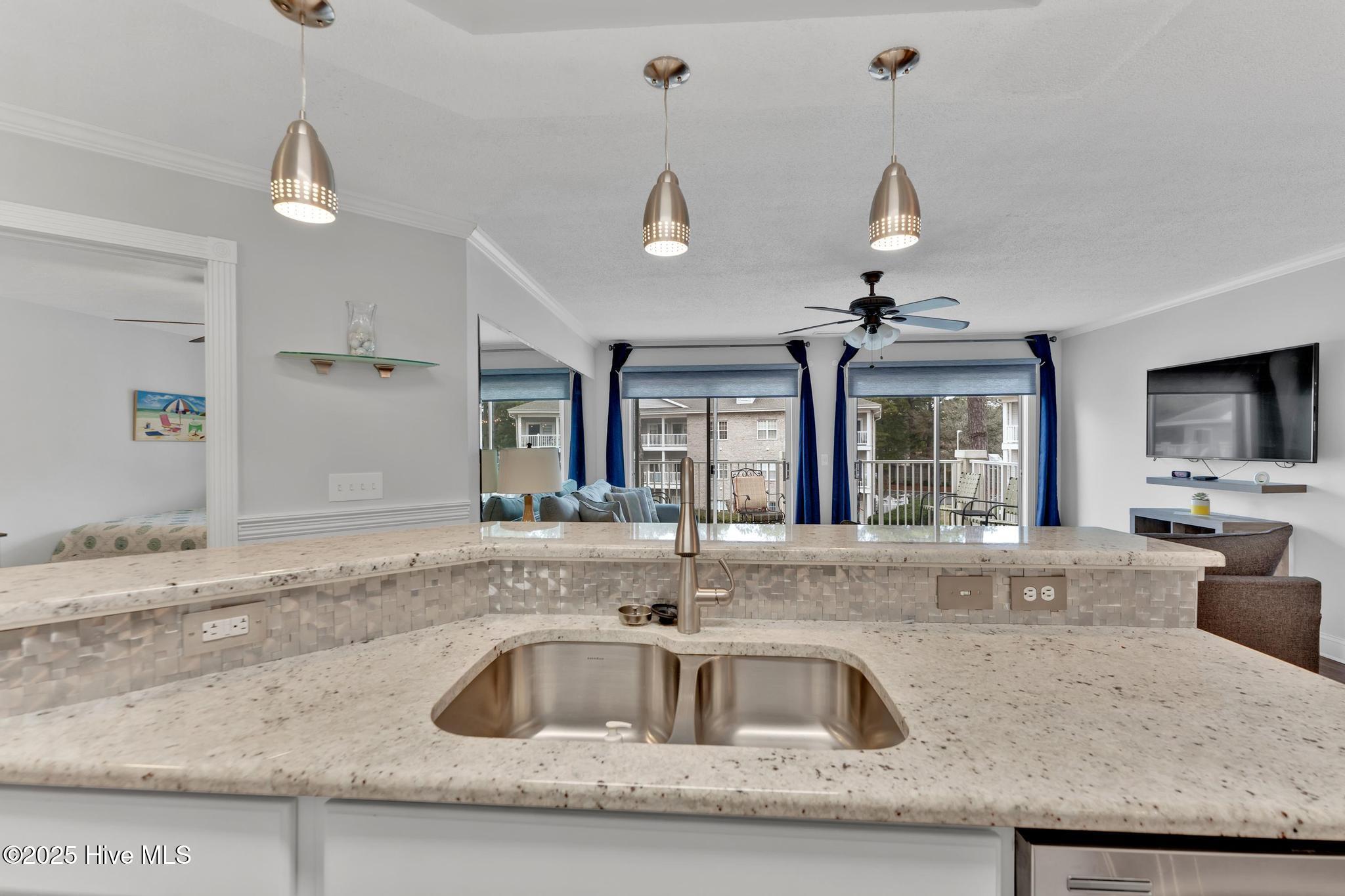 100558066 | Photo 24