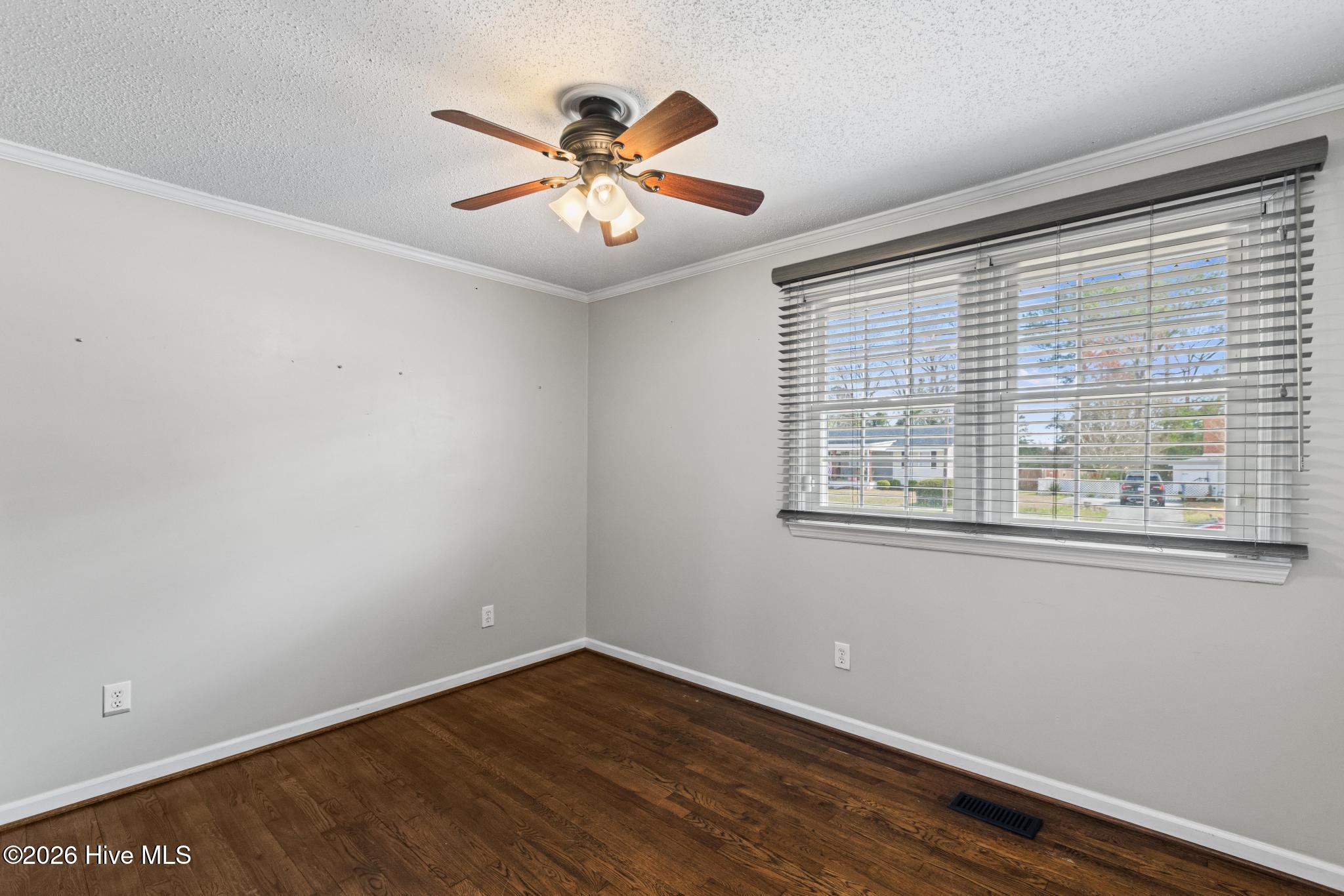 100558586 | Photo 19