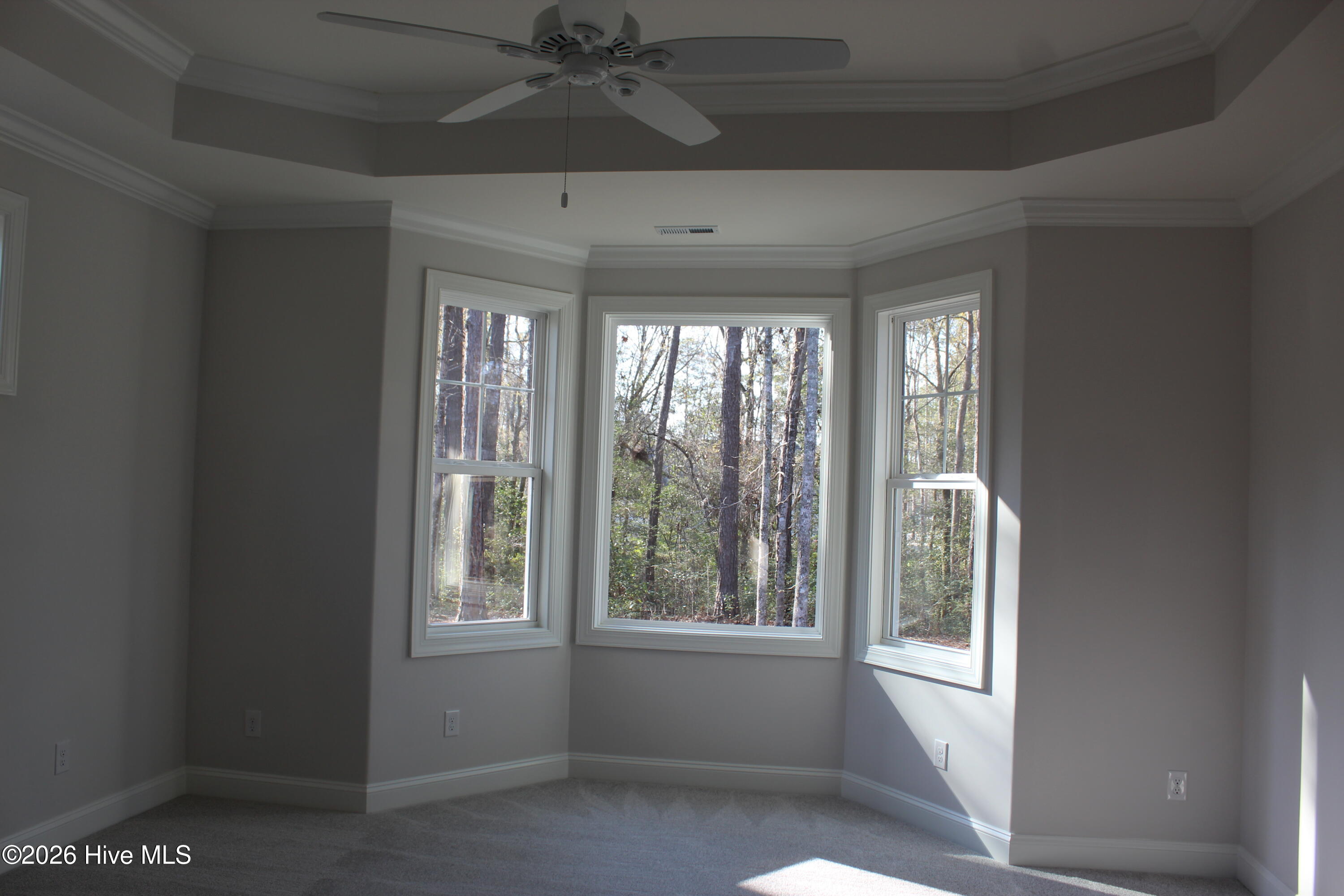 100536128 | Photo 12