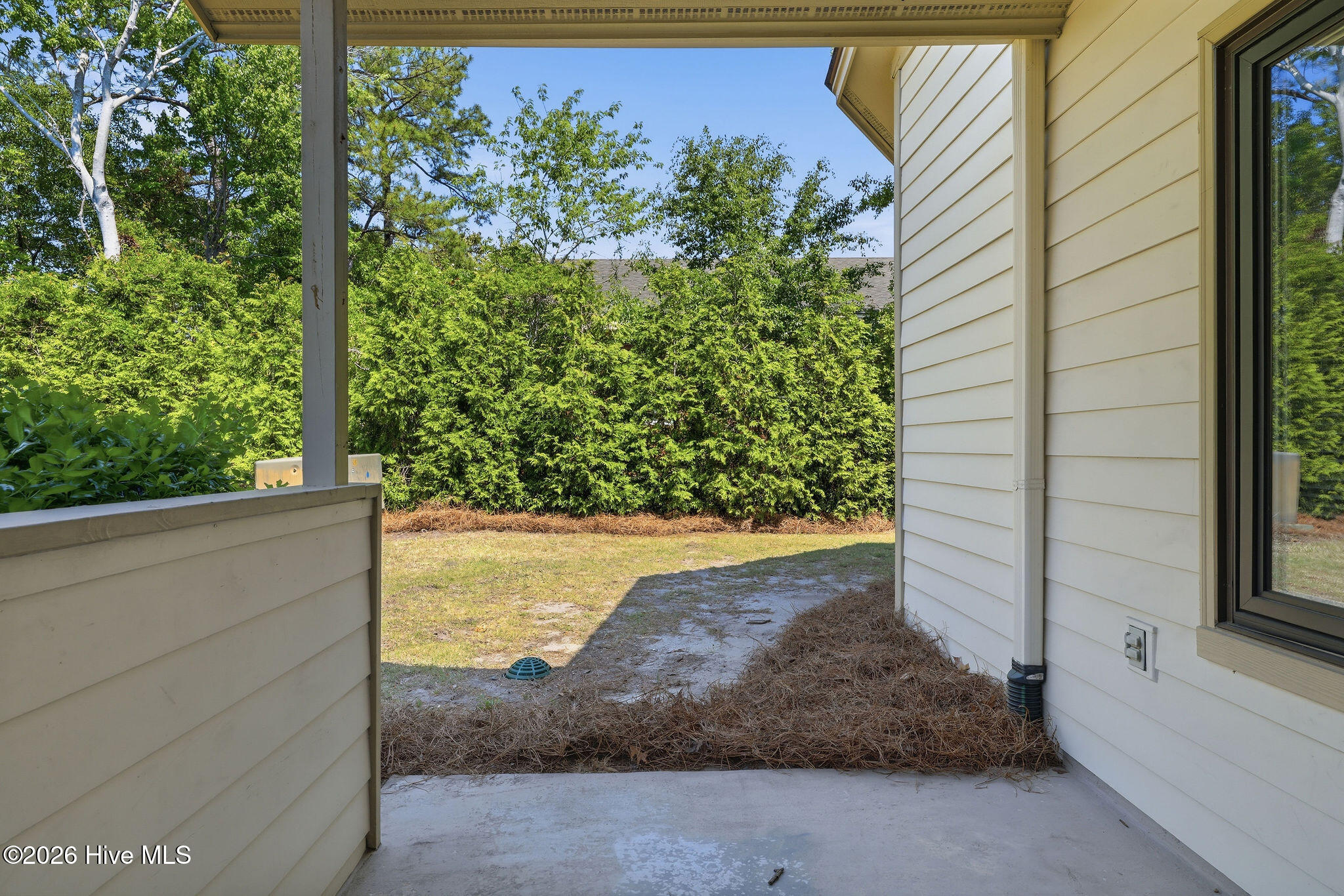 100569569 | Photo 44