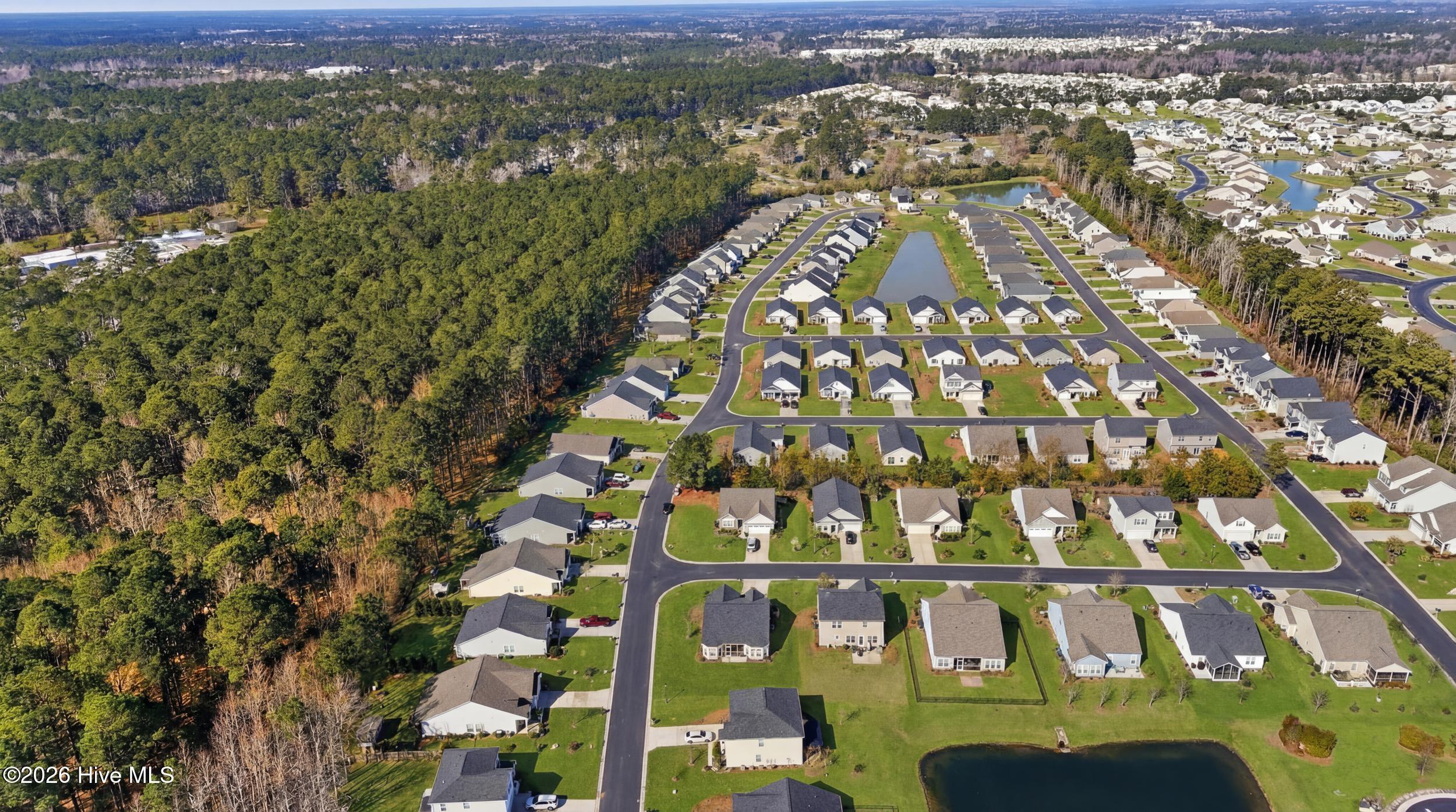 100552958 | Photo 37