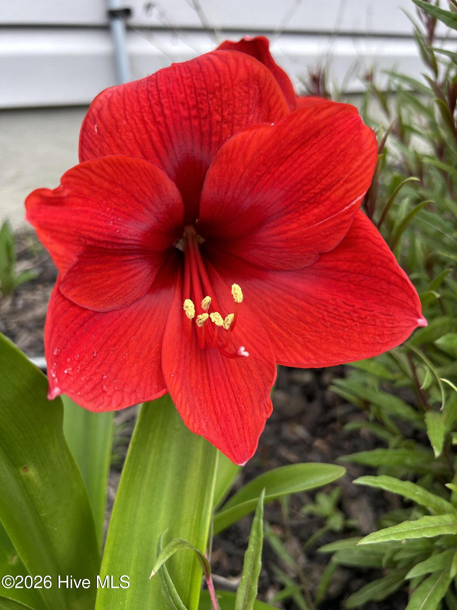 100549687 | Photo 77