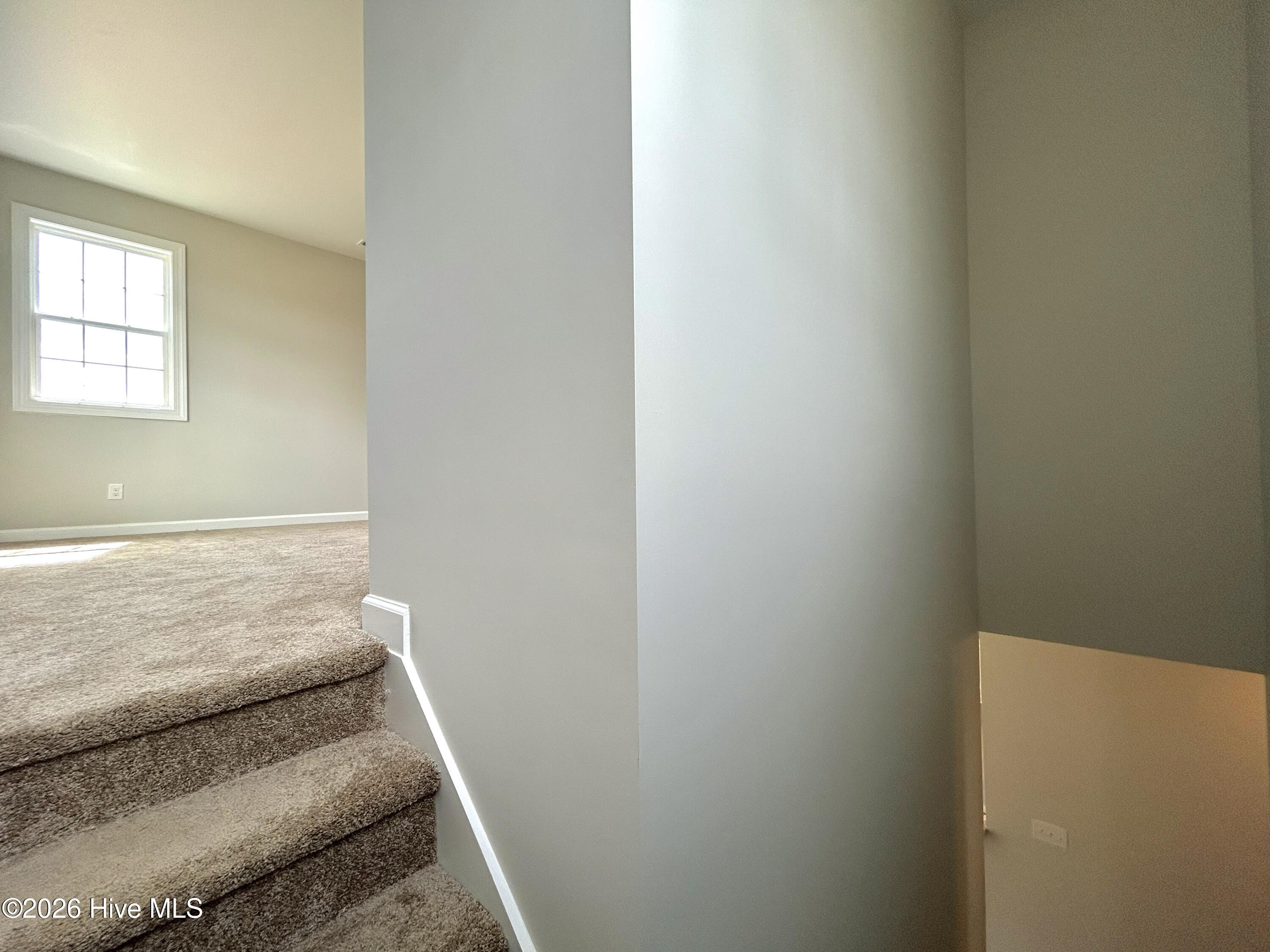 100560362 | Photo 53