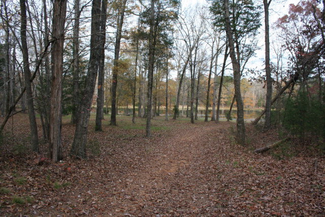 Double Branches Road, Lincolnton, GA 30817 Listing Photo  5