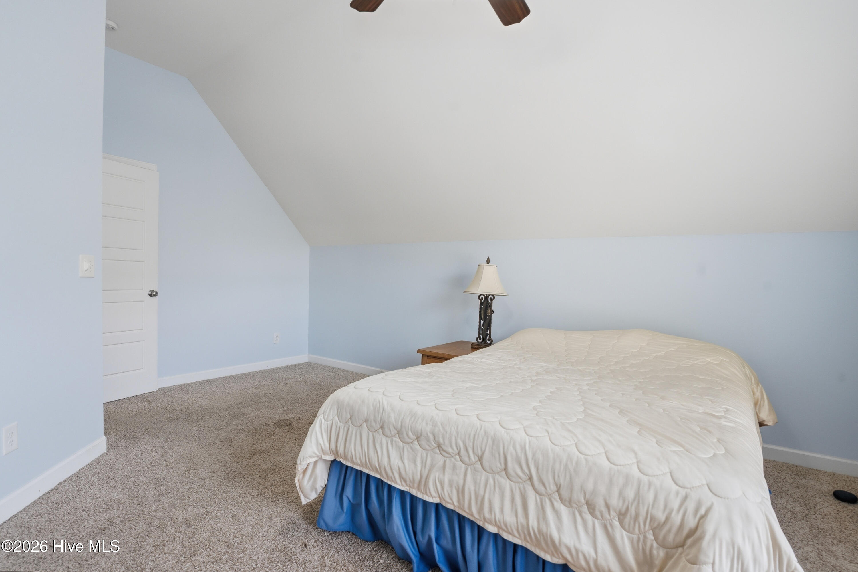 100564087 | Photo 31