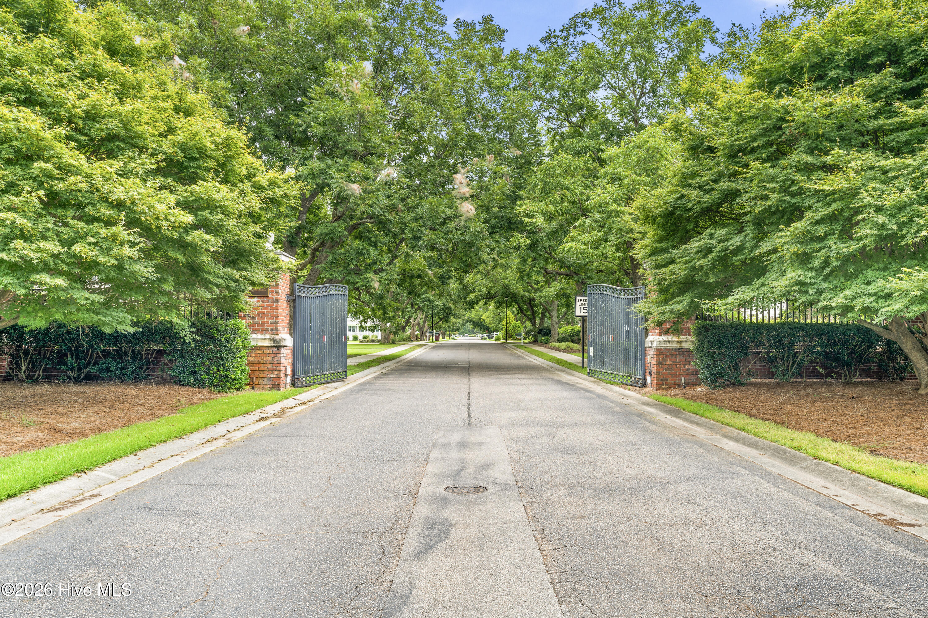 100567527 | Photo 18