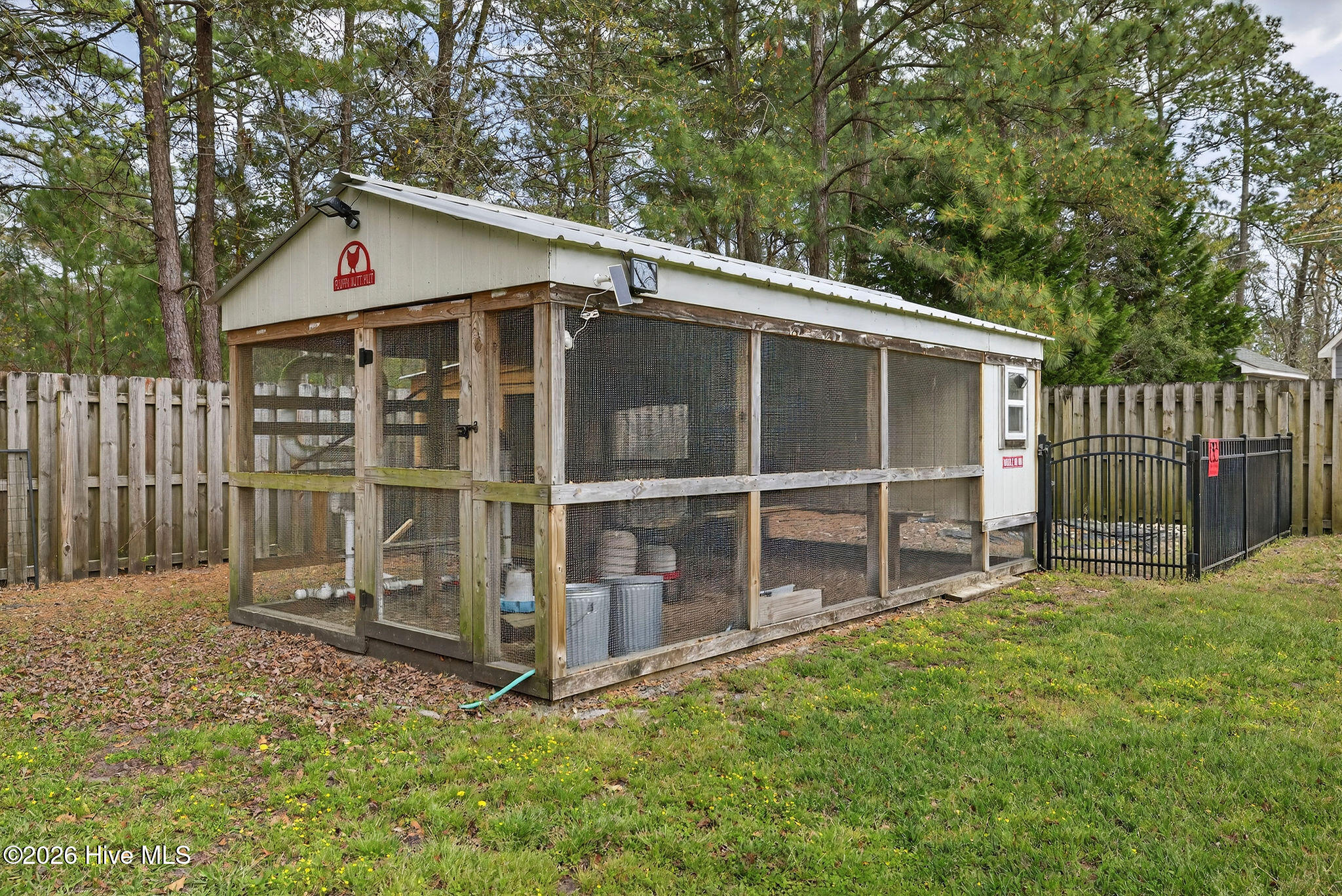 100563131 | Photo 66