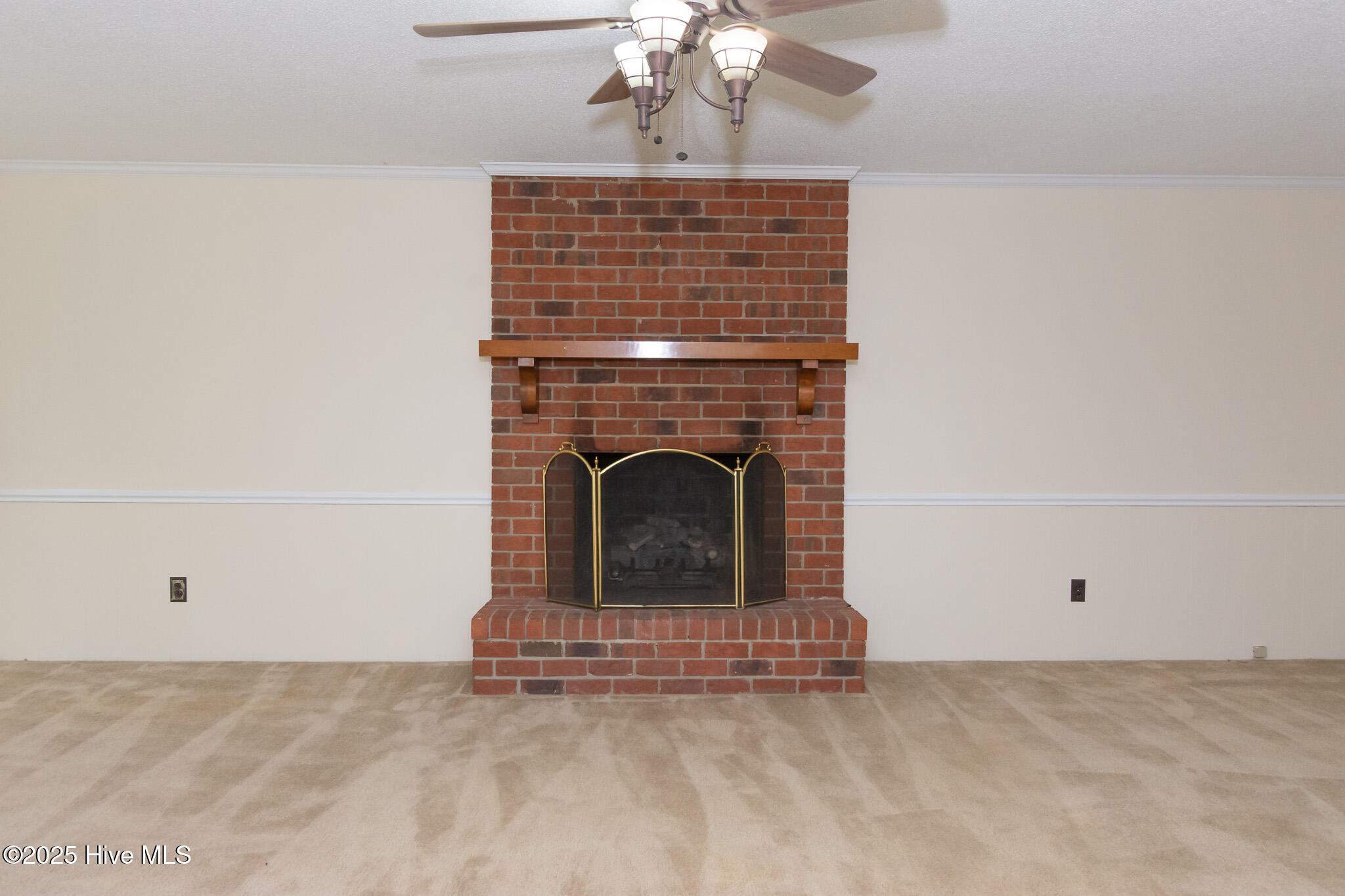 100506266 | Photo 24