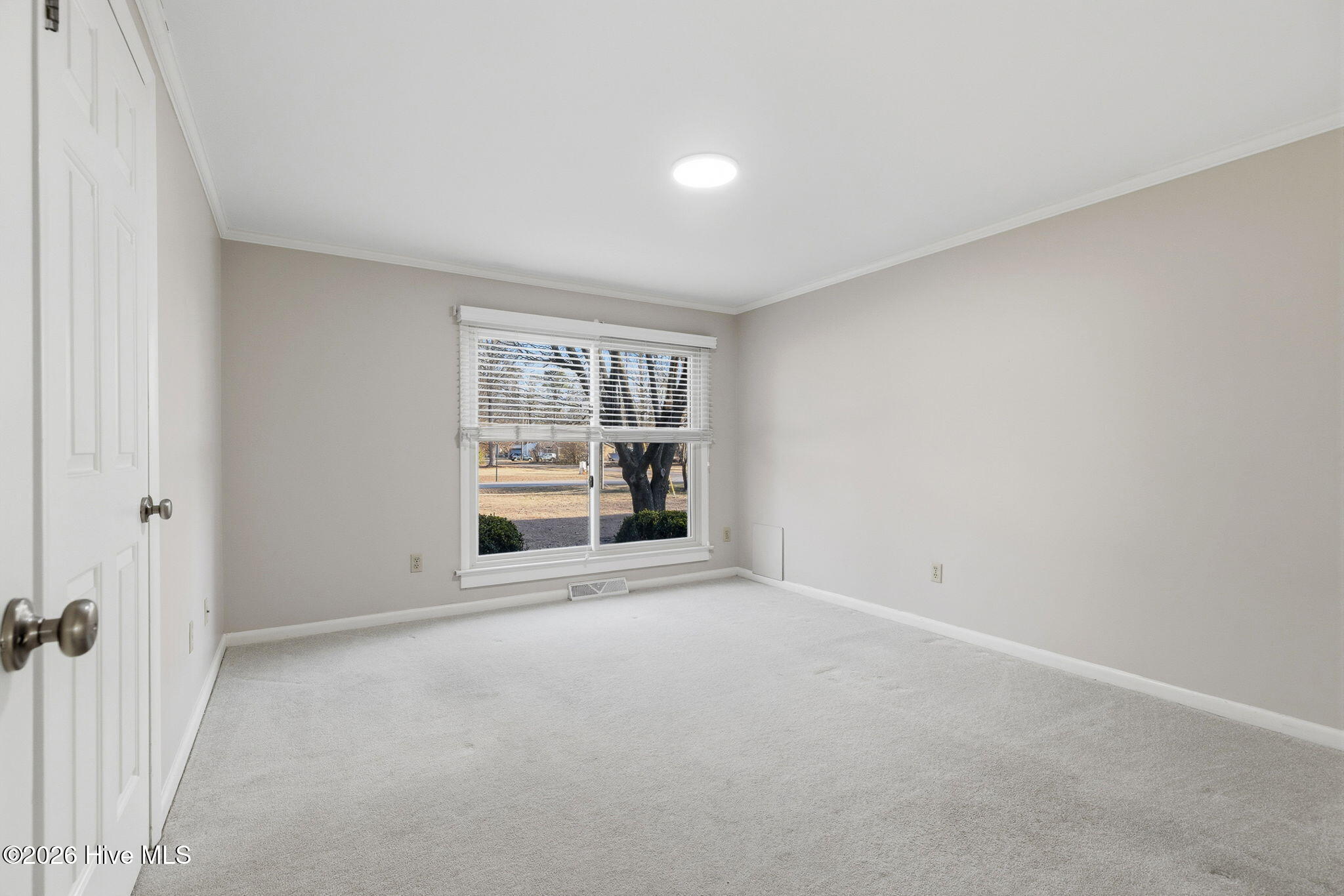 100554589 | Photo 29