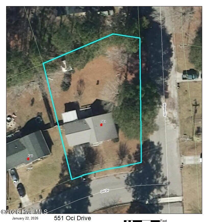 100551122 | Photo 21