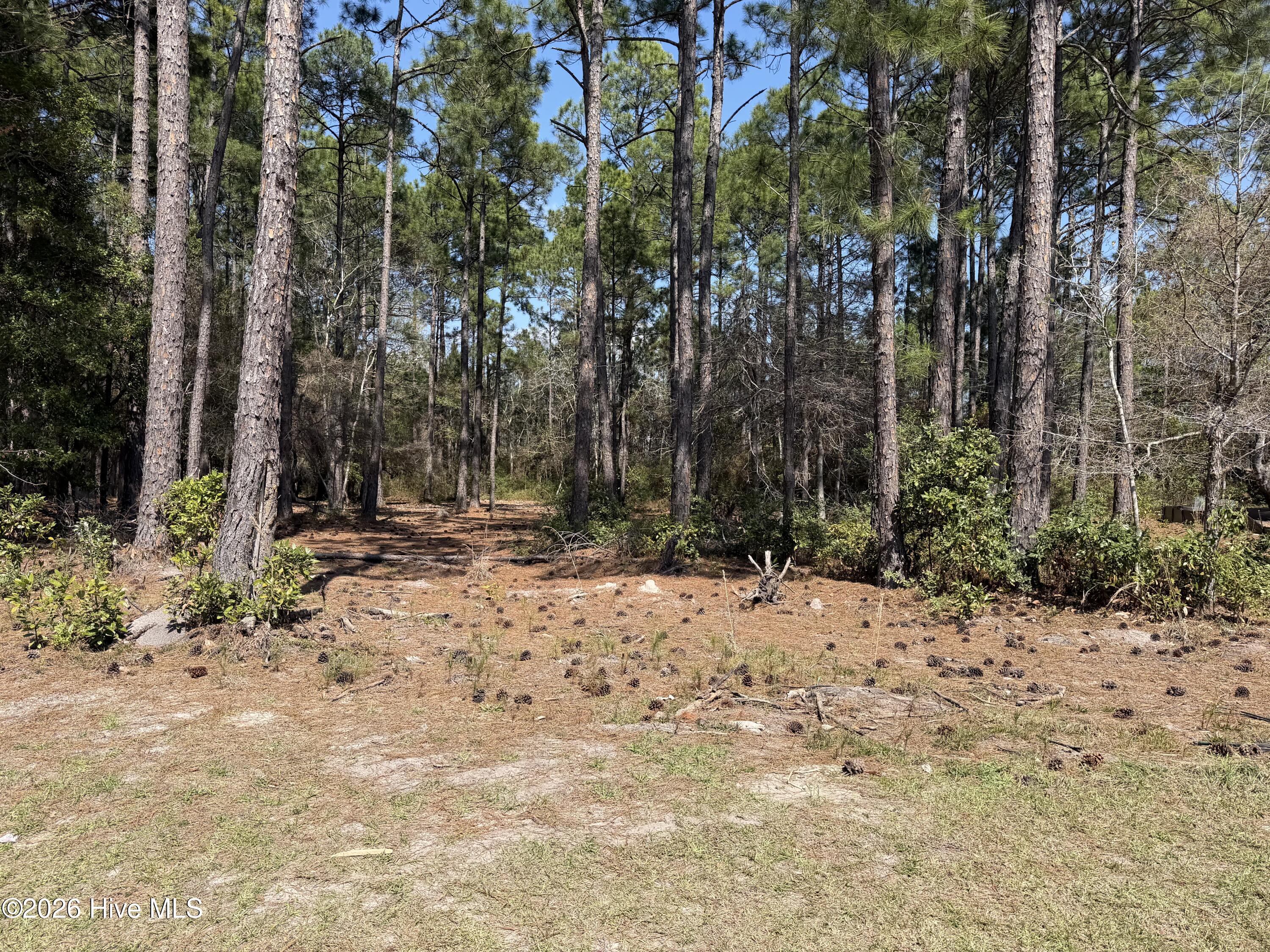 6786 Holton Place, Ocean Isle Beach, NC, 28469